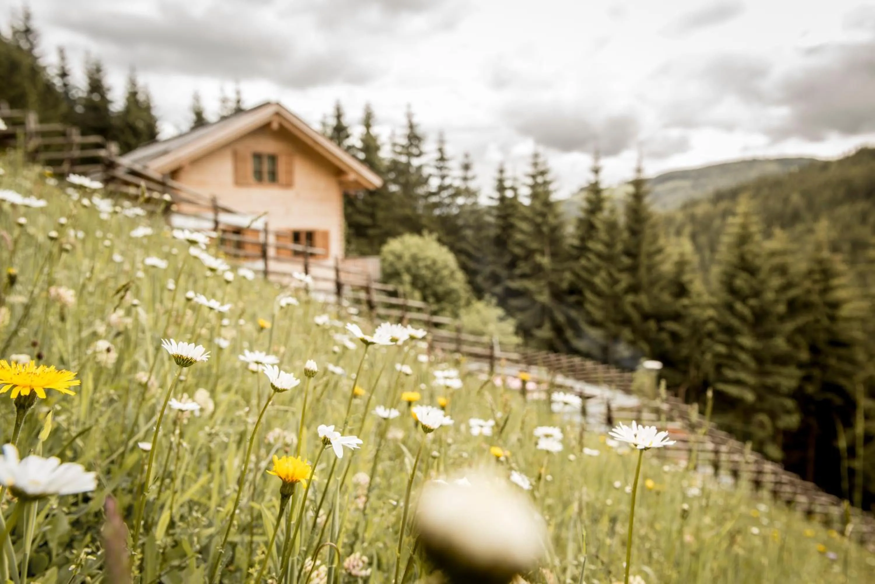 Property building in Bergchalet Kuhgraben