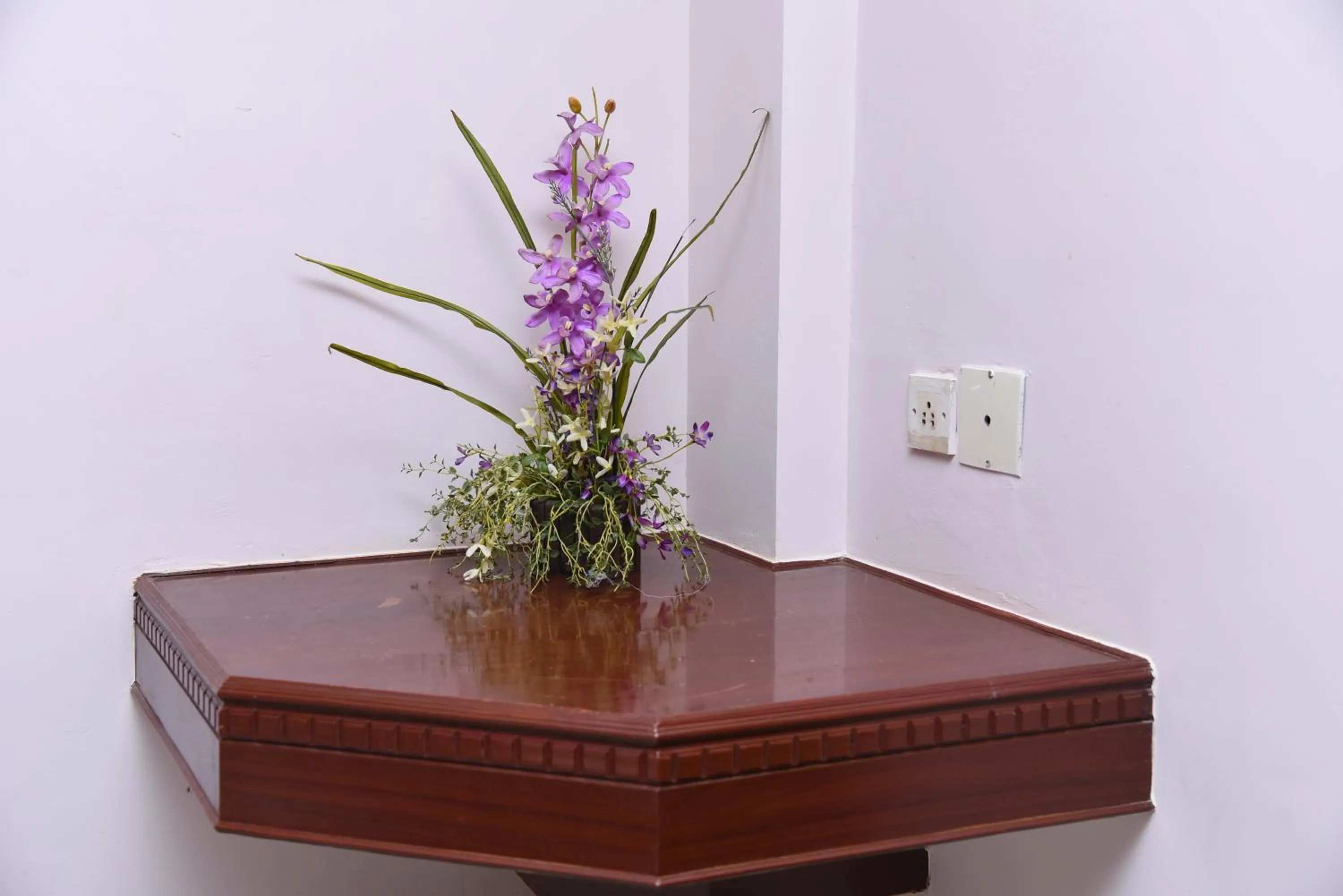 Decorative detail in Hotel Subhalakshmi Palace