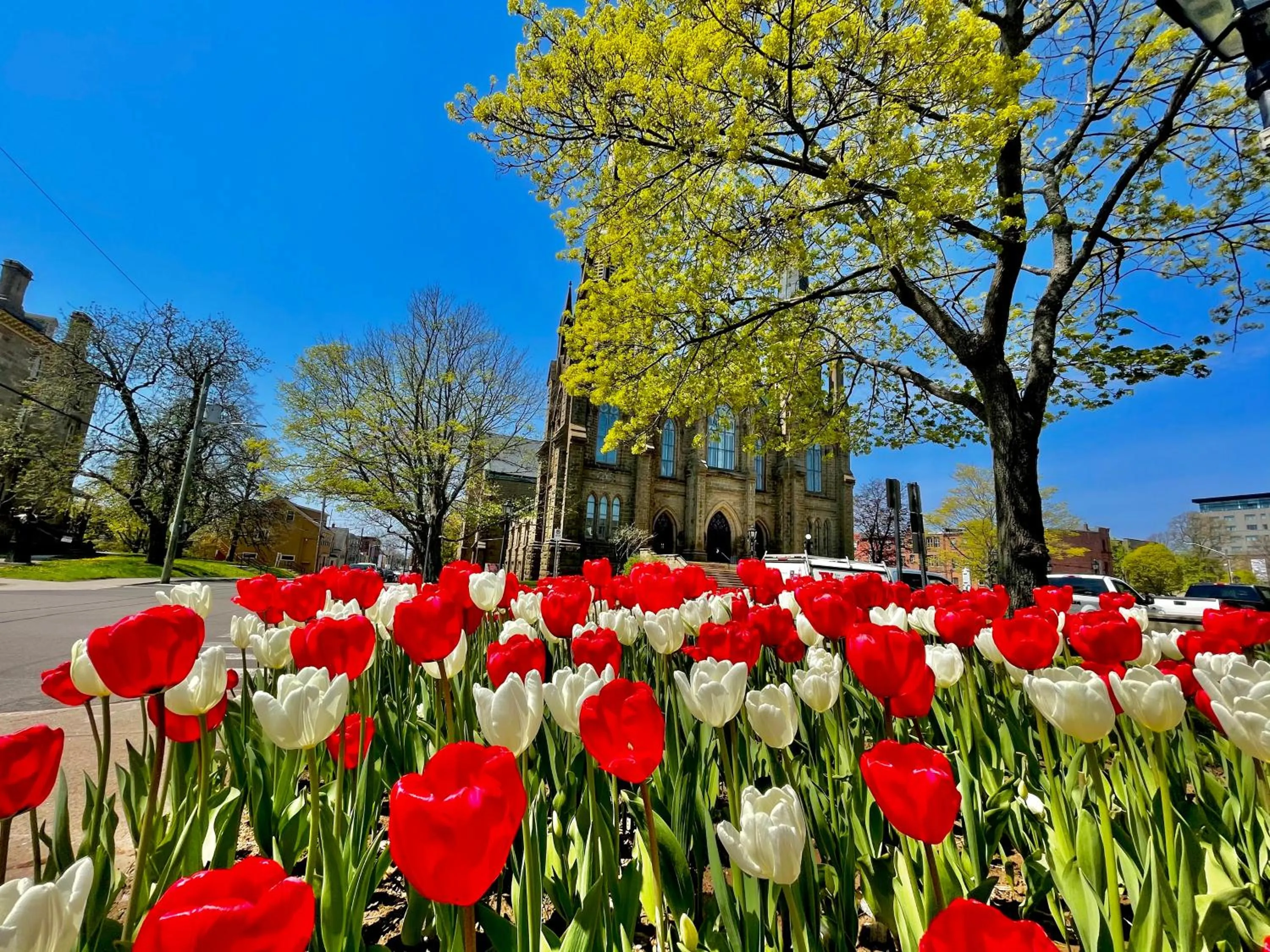 Charlotte's Rose Inn