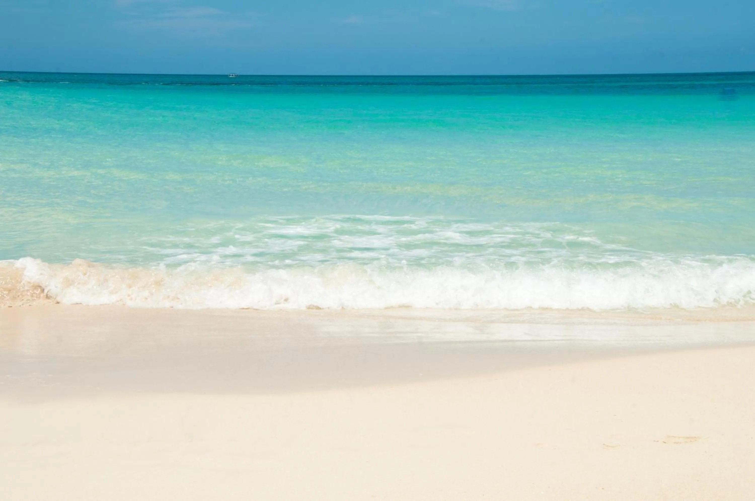 Beach in Negril Palms