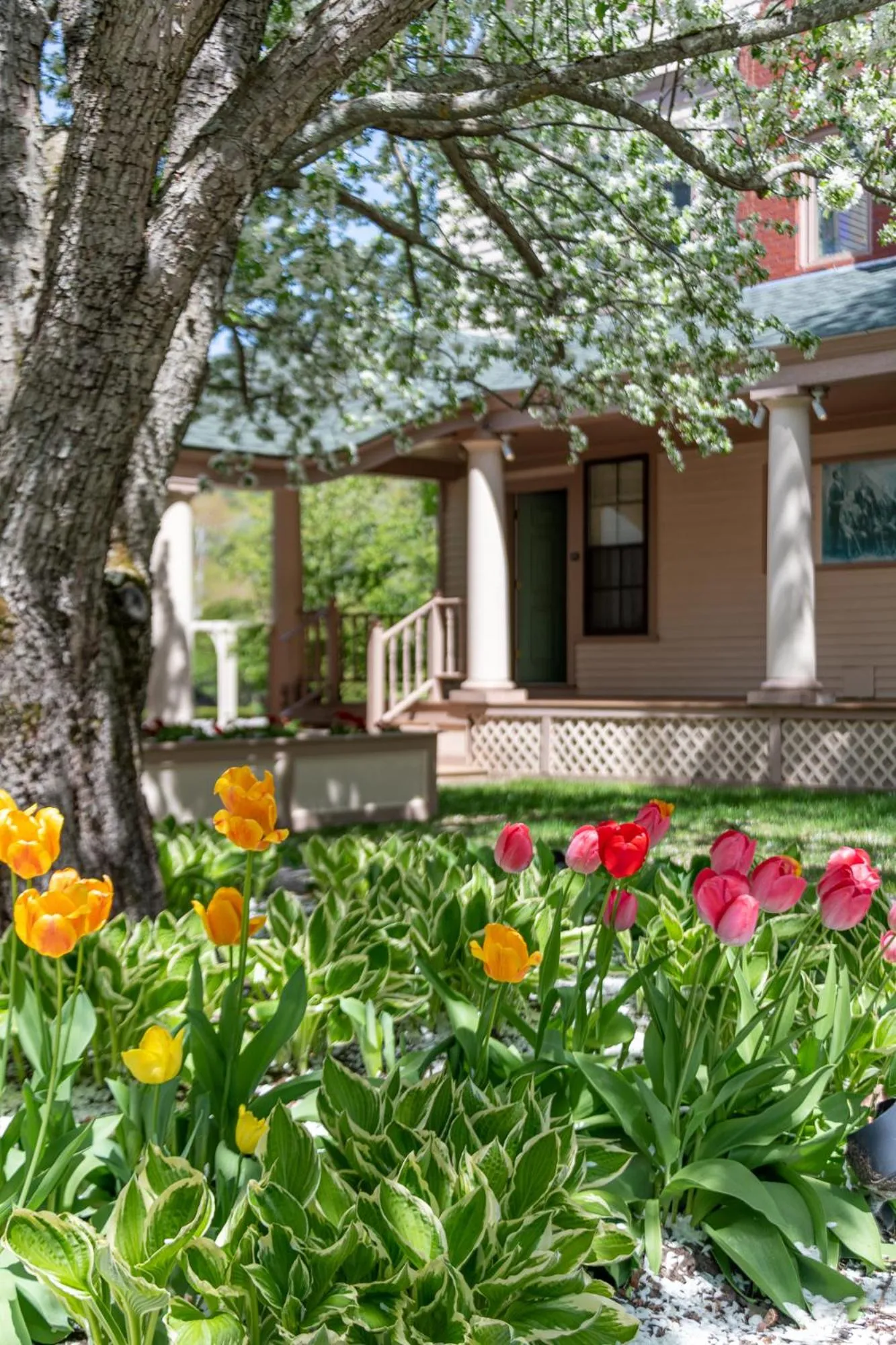 Garden in The Wentworth