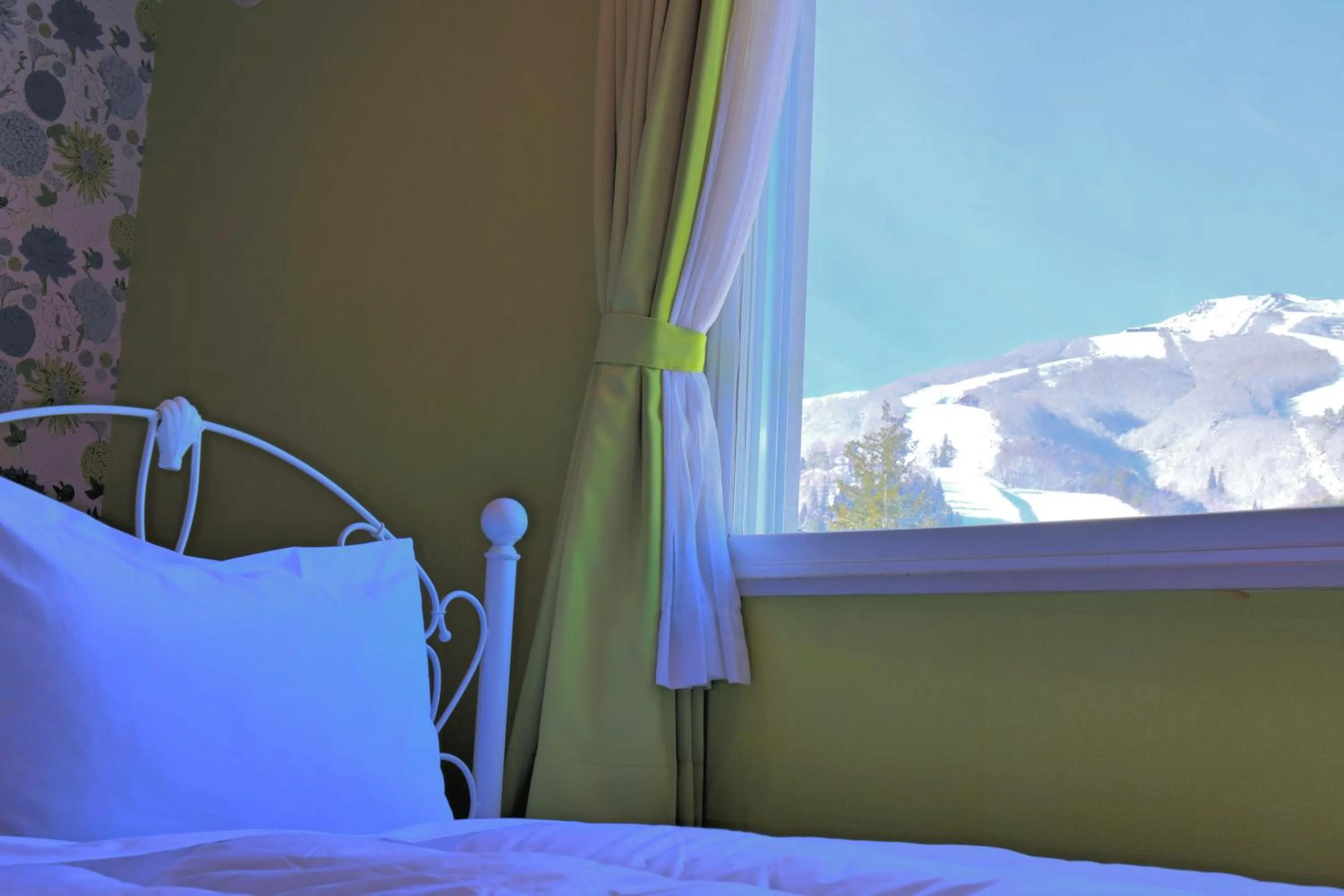 Mountain view, Bed in HOTEL 24sweets HAKUBA