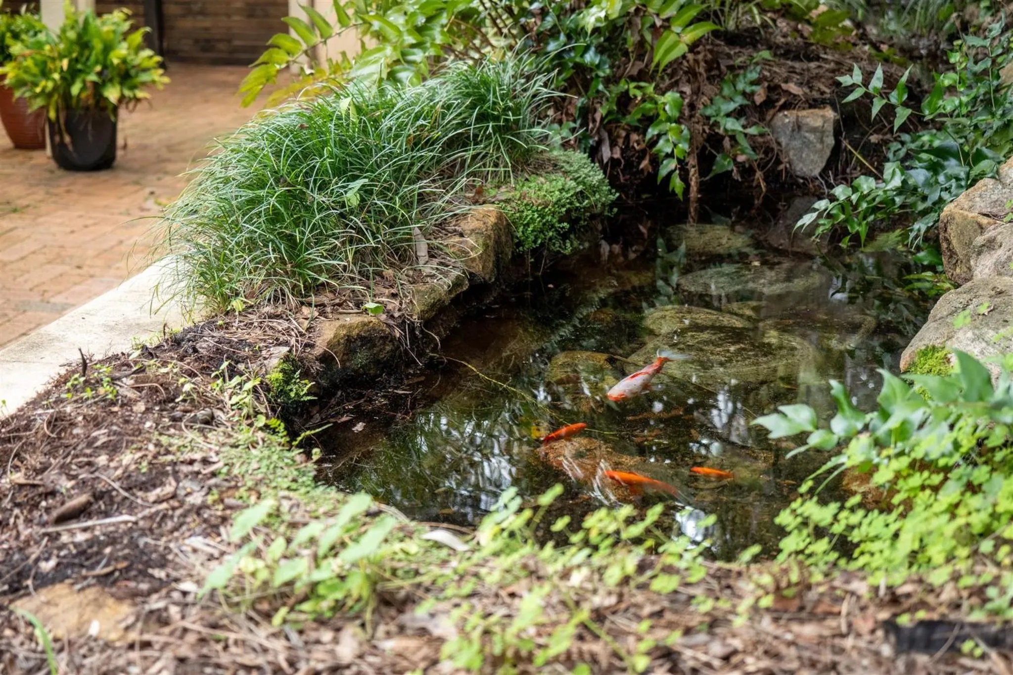 Spring in Heritage Trail Lodge