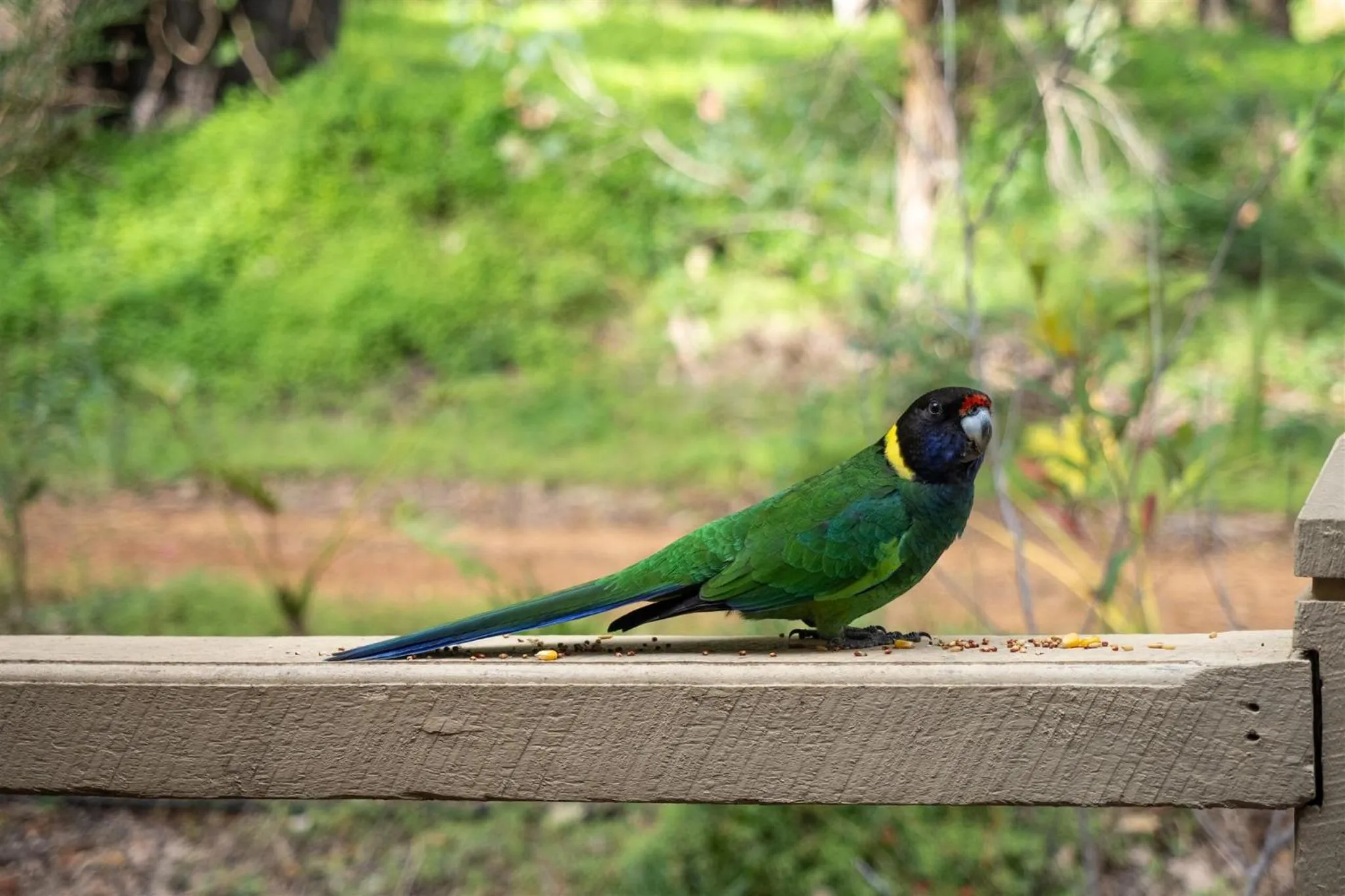 Day in Heritage Trail Lodge