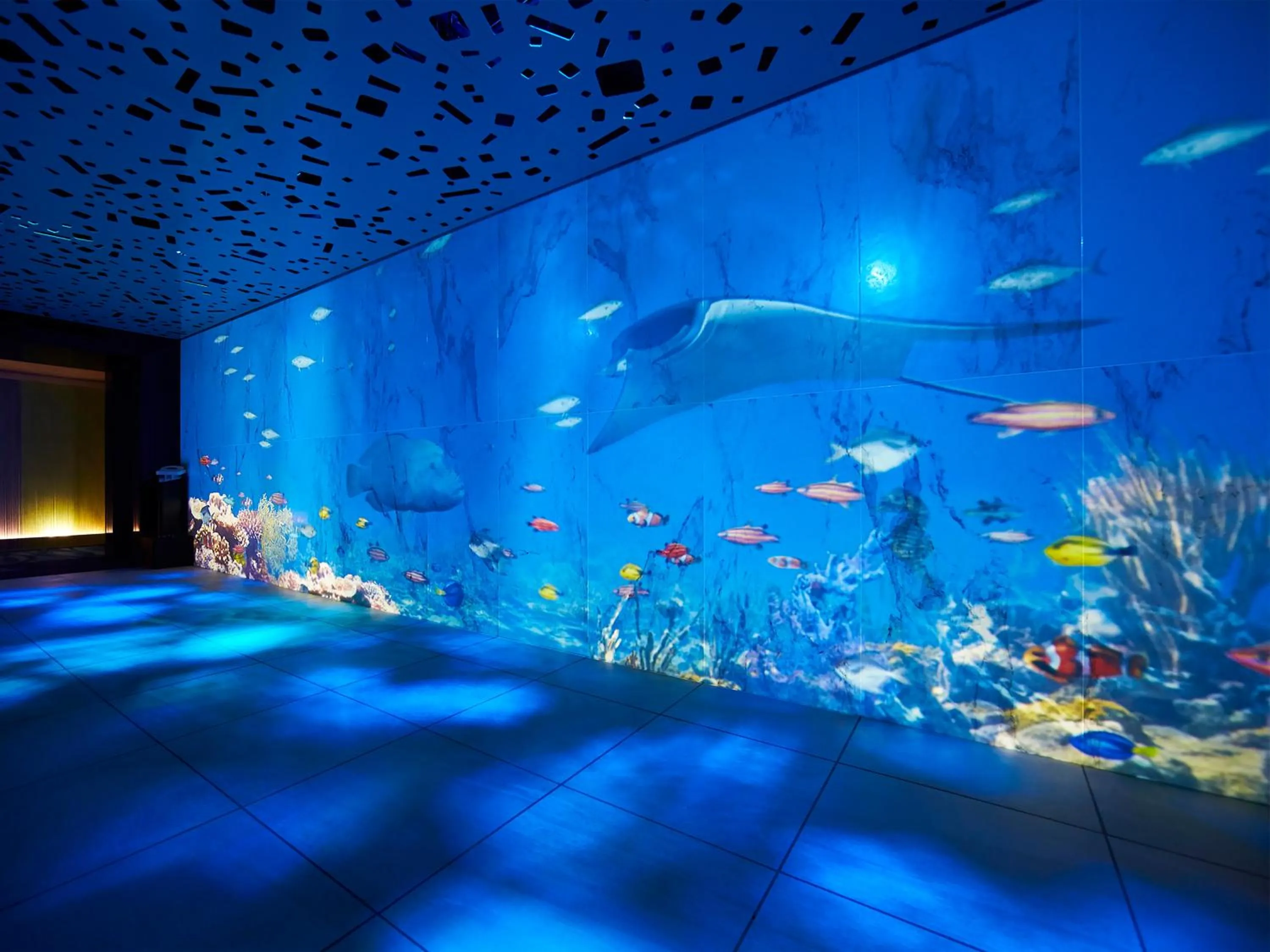 Area and facilities in Hotel Universal Port