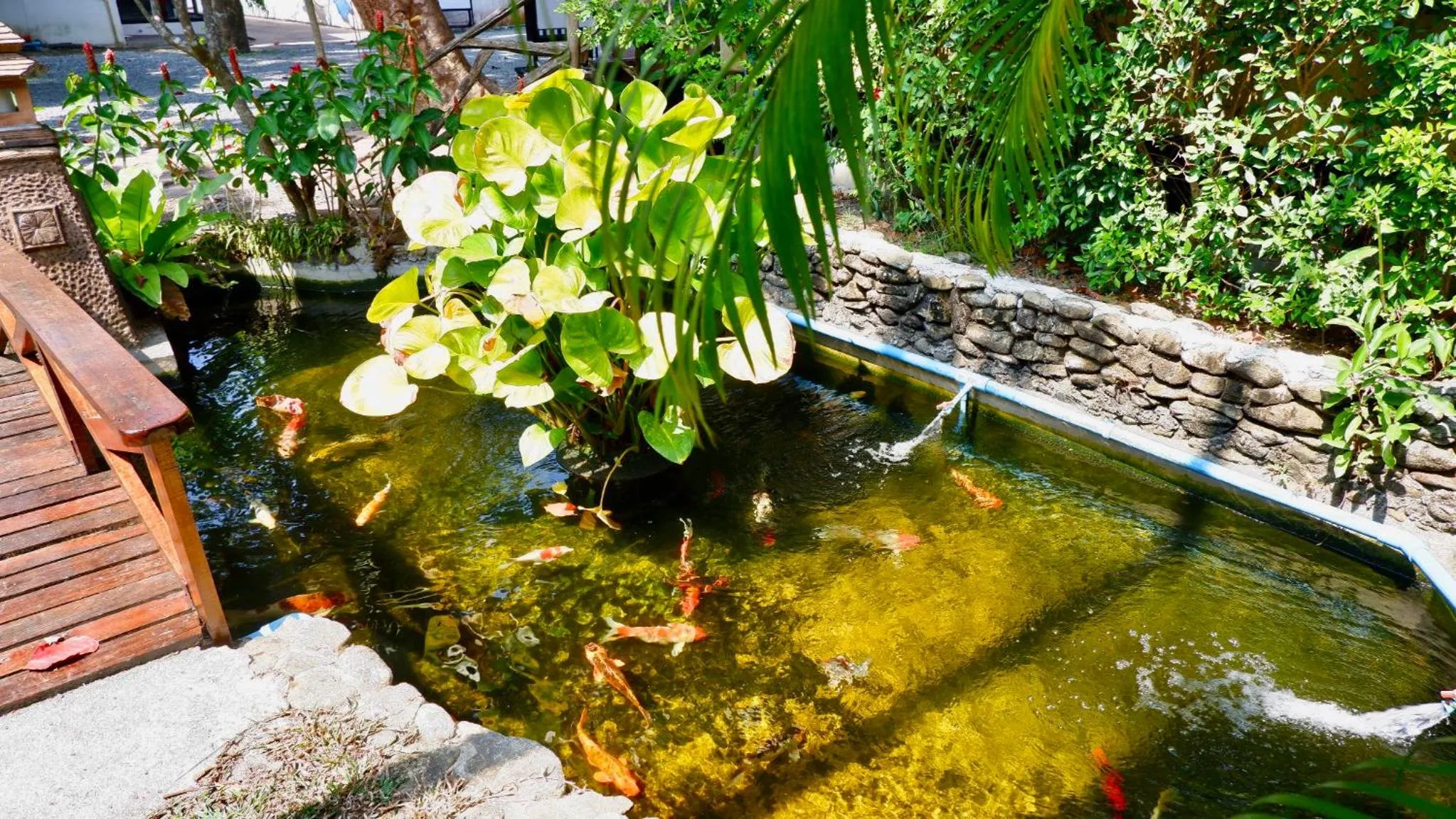 View (from property/room) in Garden Resort