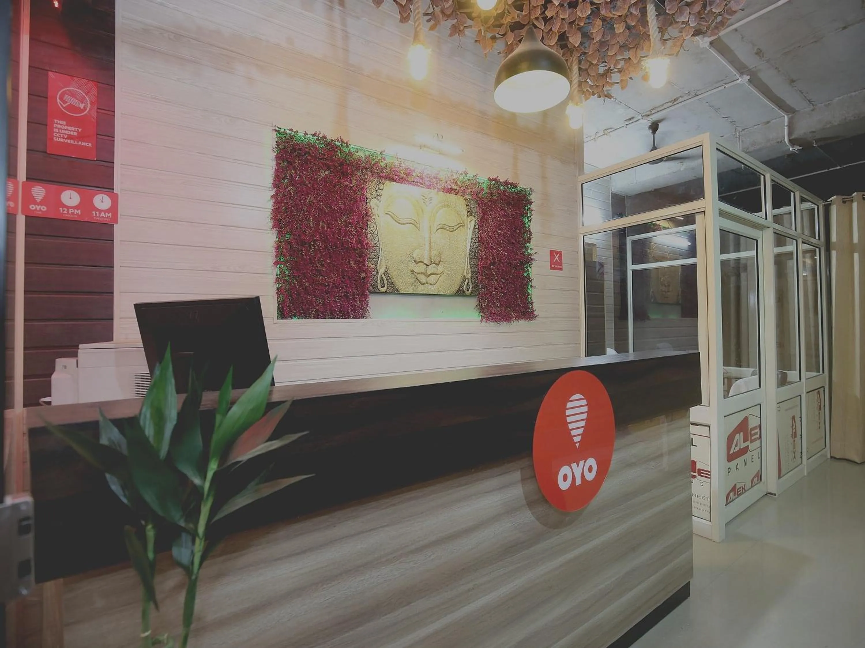 Collection O Gold Star