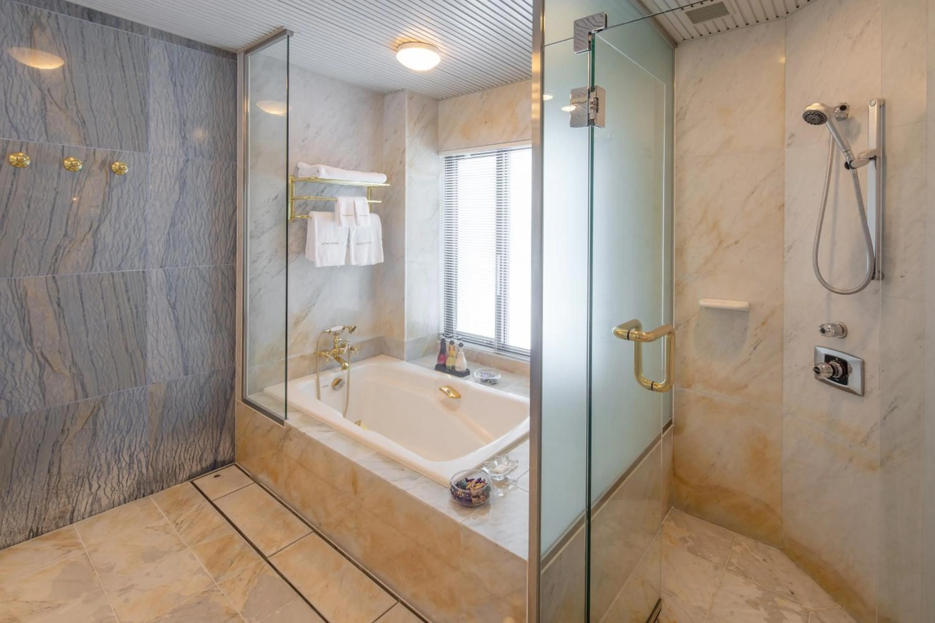 Shower in Hakuba Tokyu Hotel