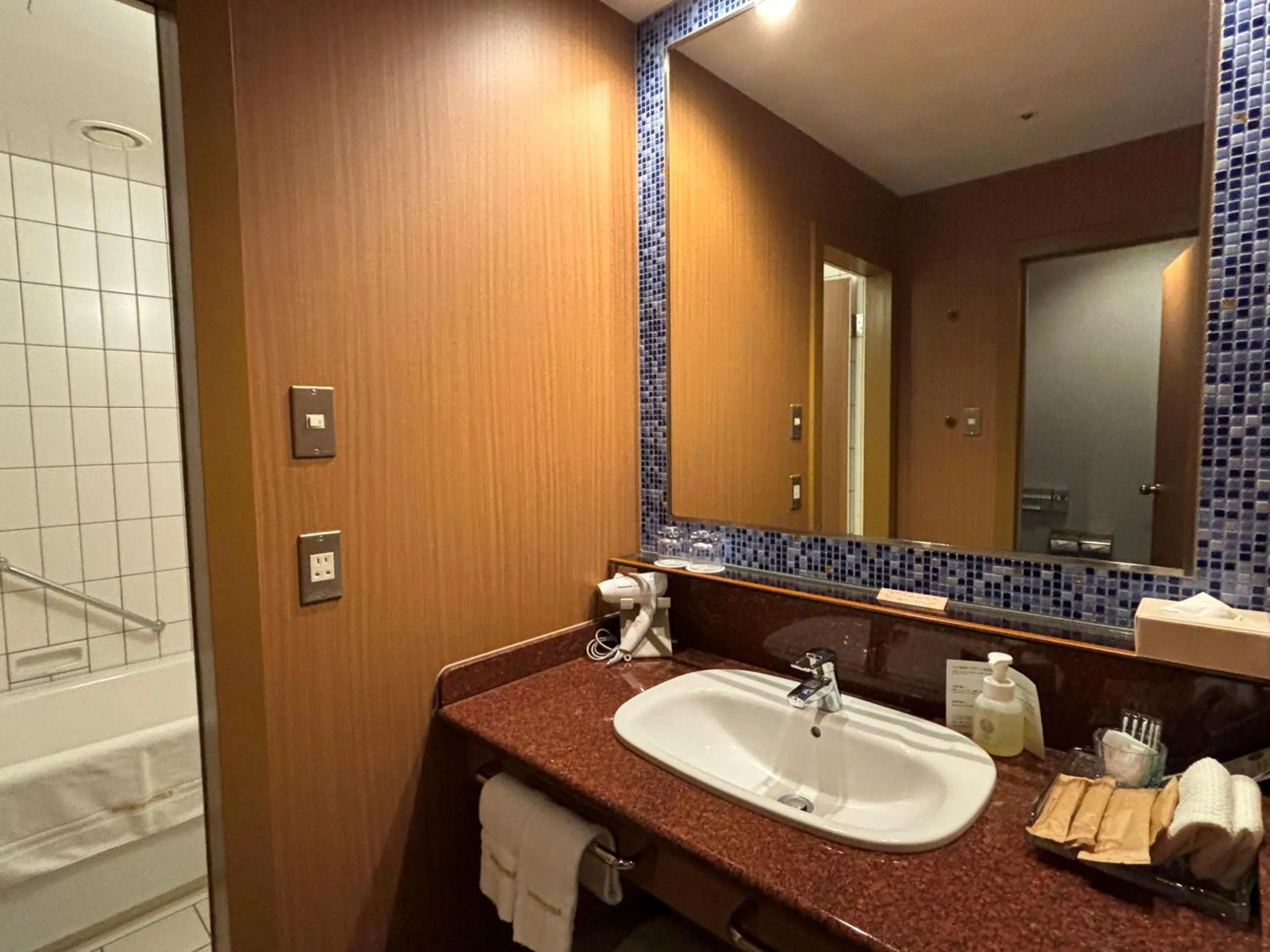 Bathroom in Hakuba Tokyu Hotel