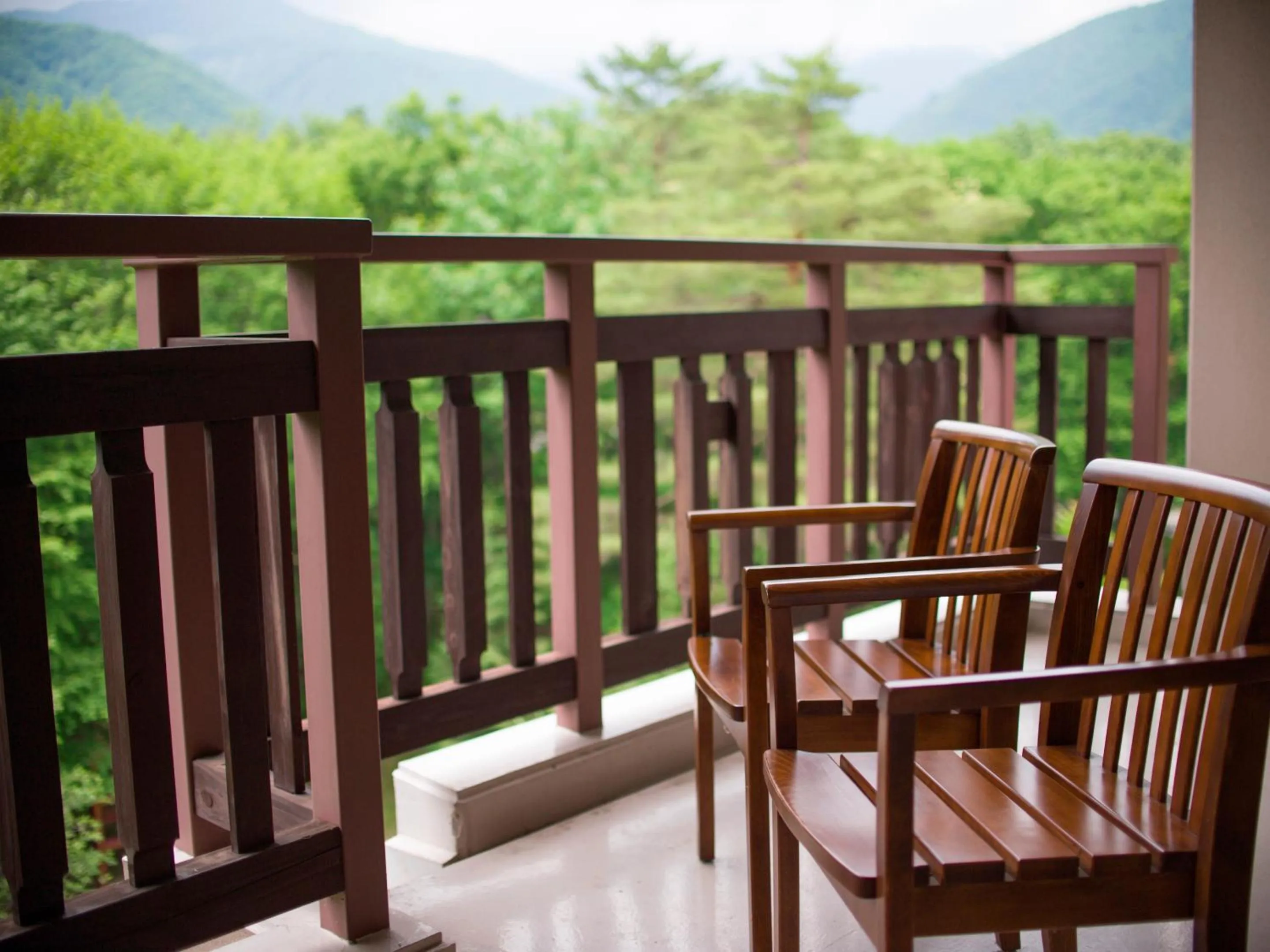 Balcony/Terrace in Hakuba Tokyu Hotel
