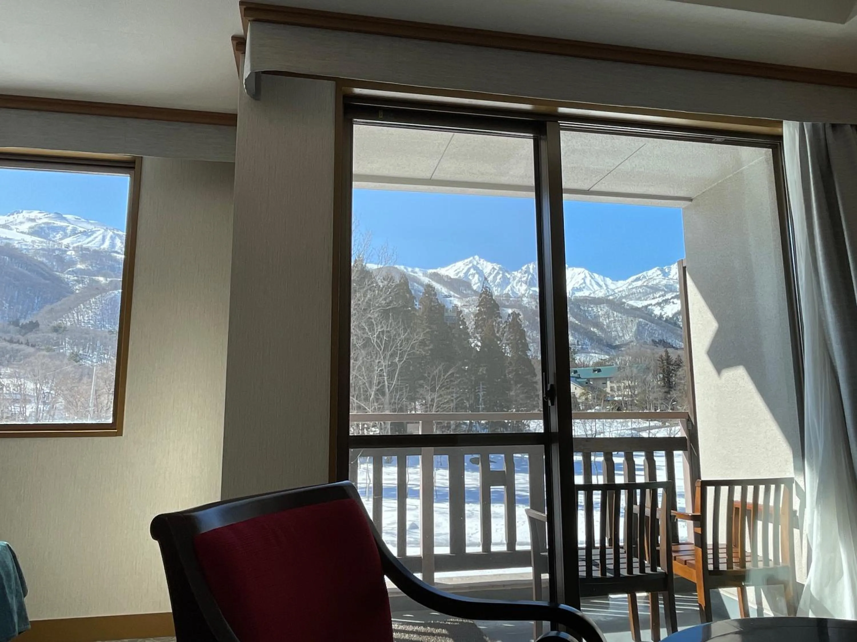View (from property/room) in Hakuba Tokyu Hotel