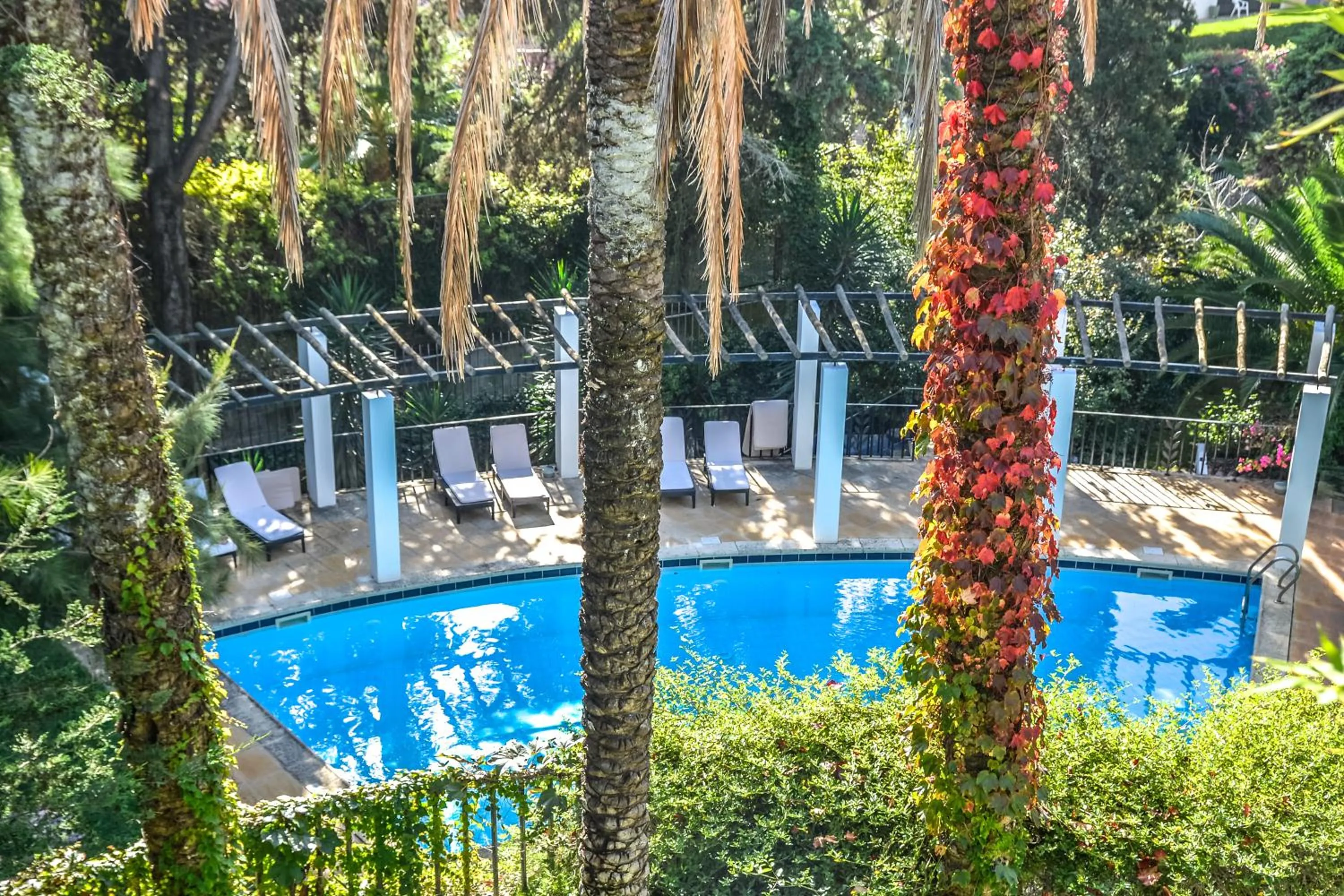 Pool view in Casa Vela Boutique House