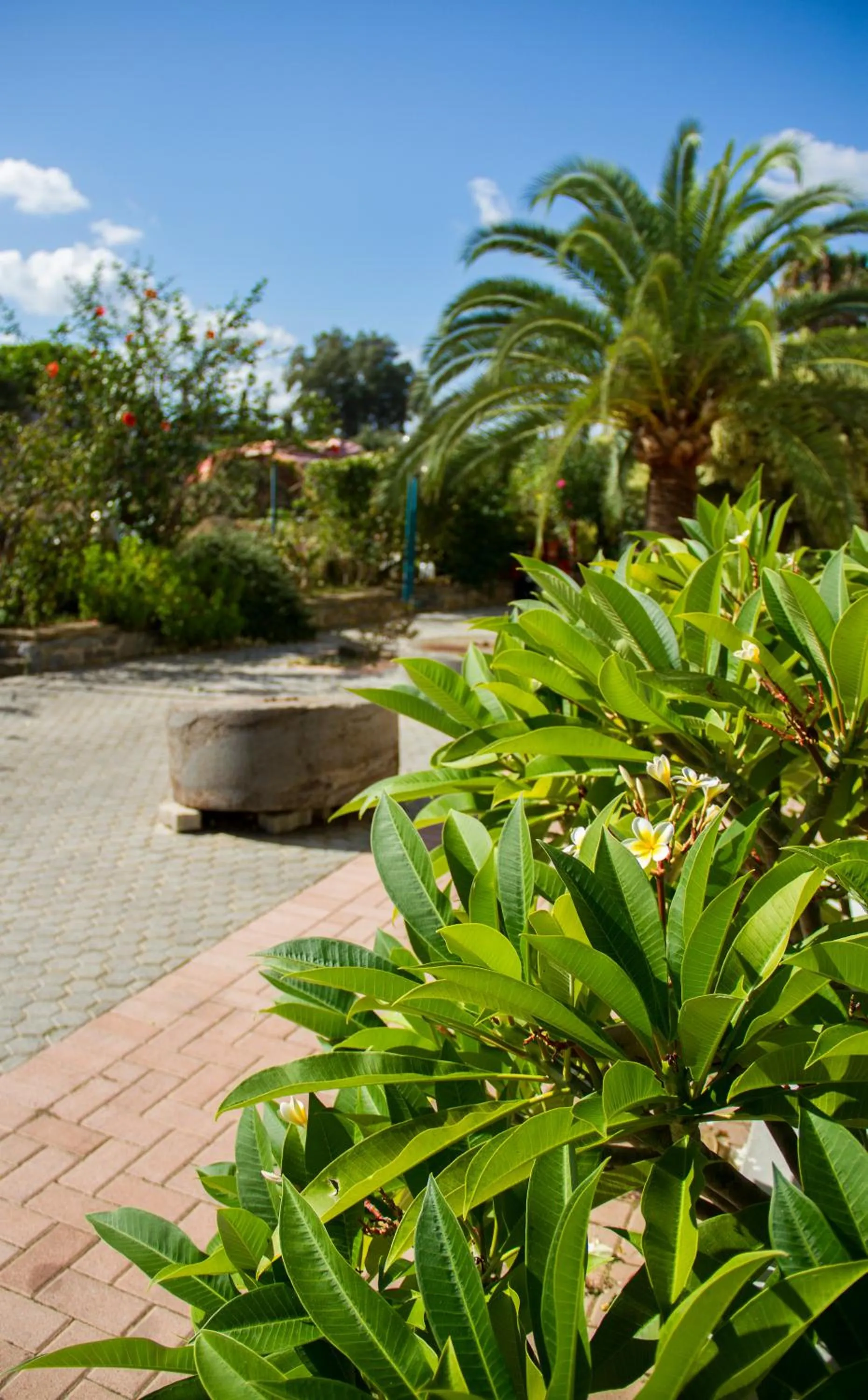 Garden view in Lycasti Maisonettes