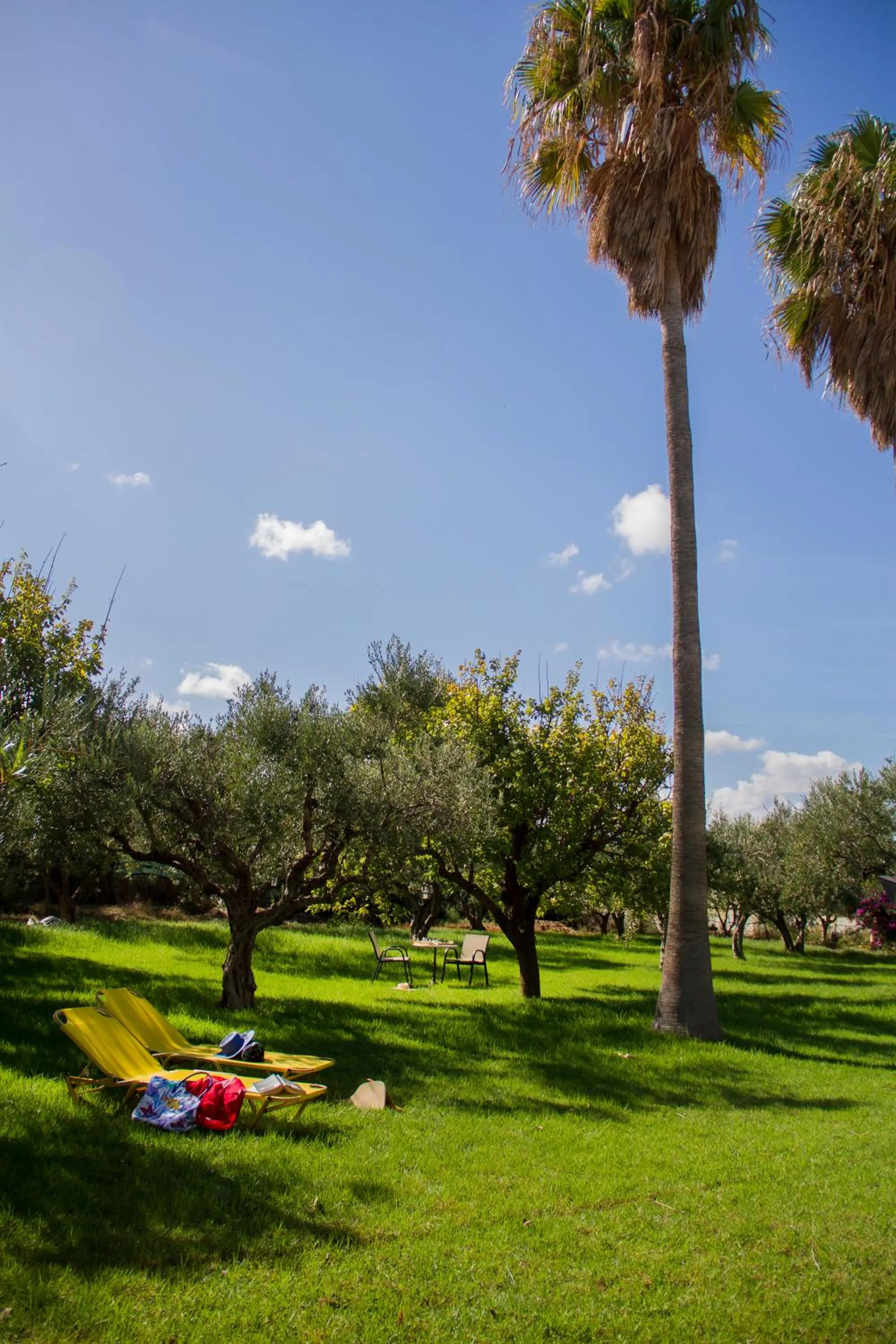 Garden view in Lycasti Maisonettes