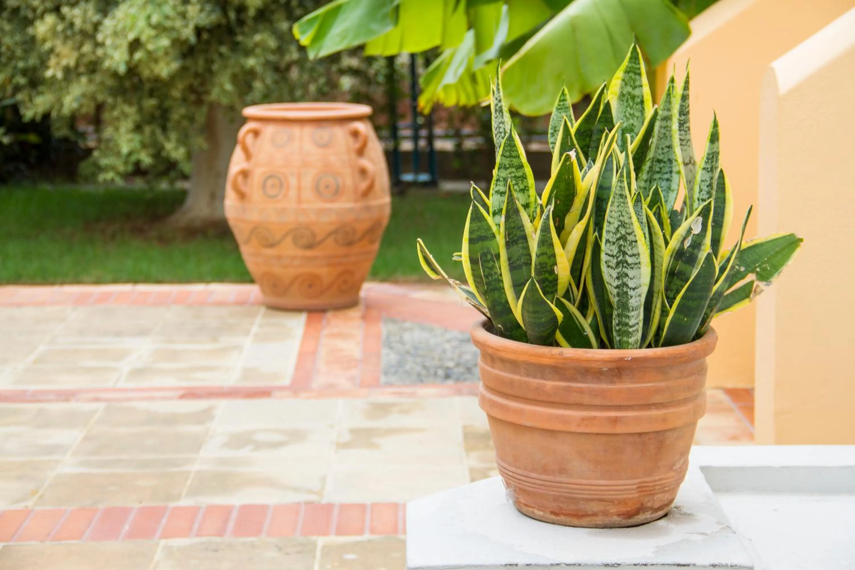 Garden in Lycasti Maisonettes