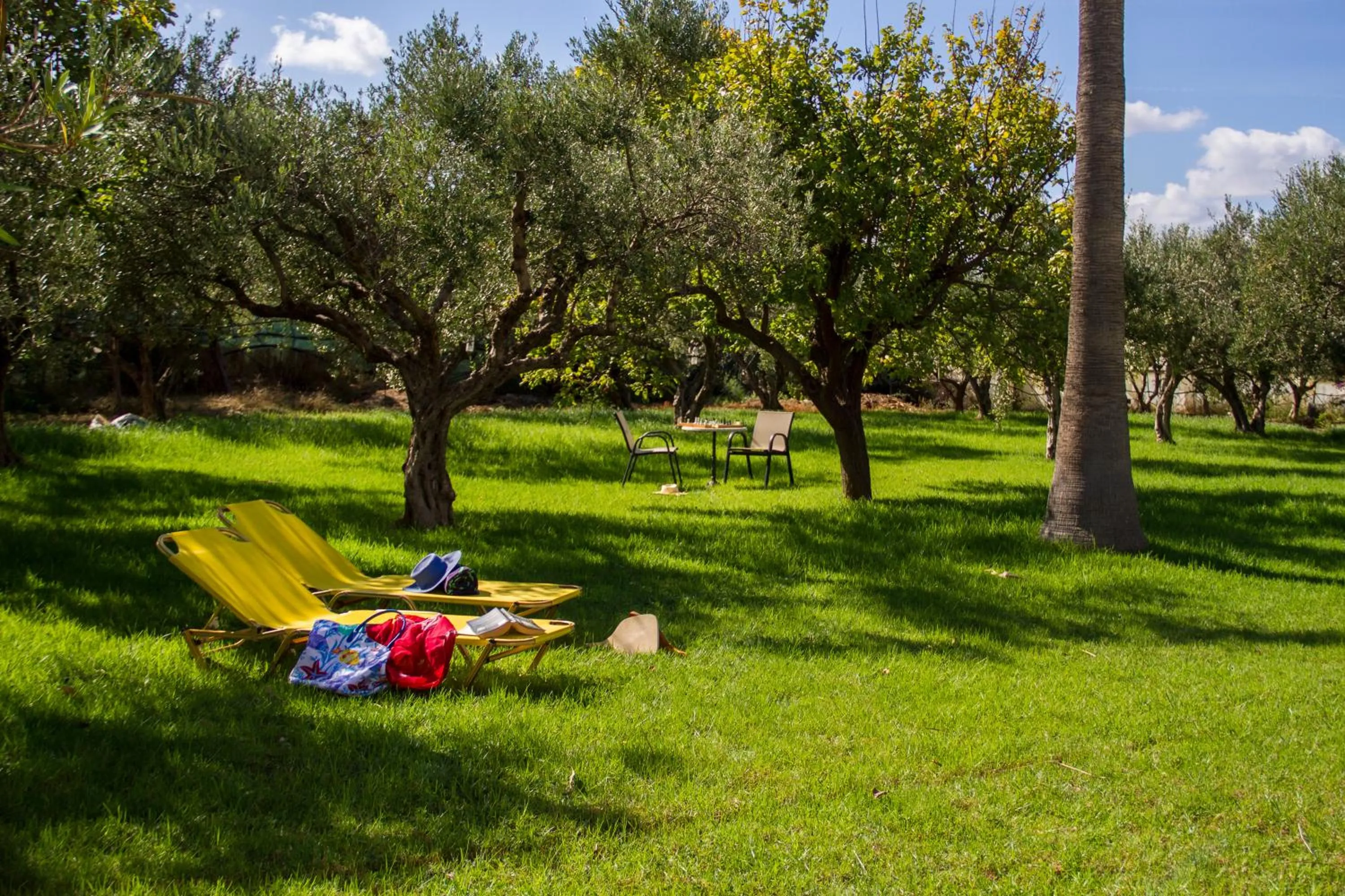 Garden view in Lycasti Maisonettes