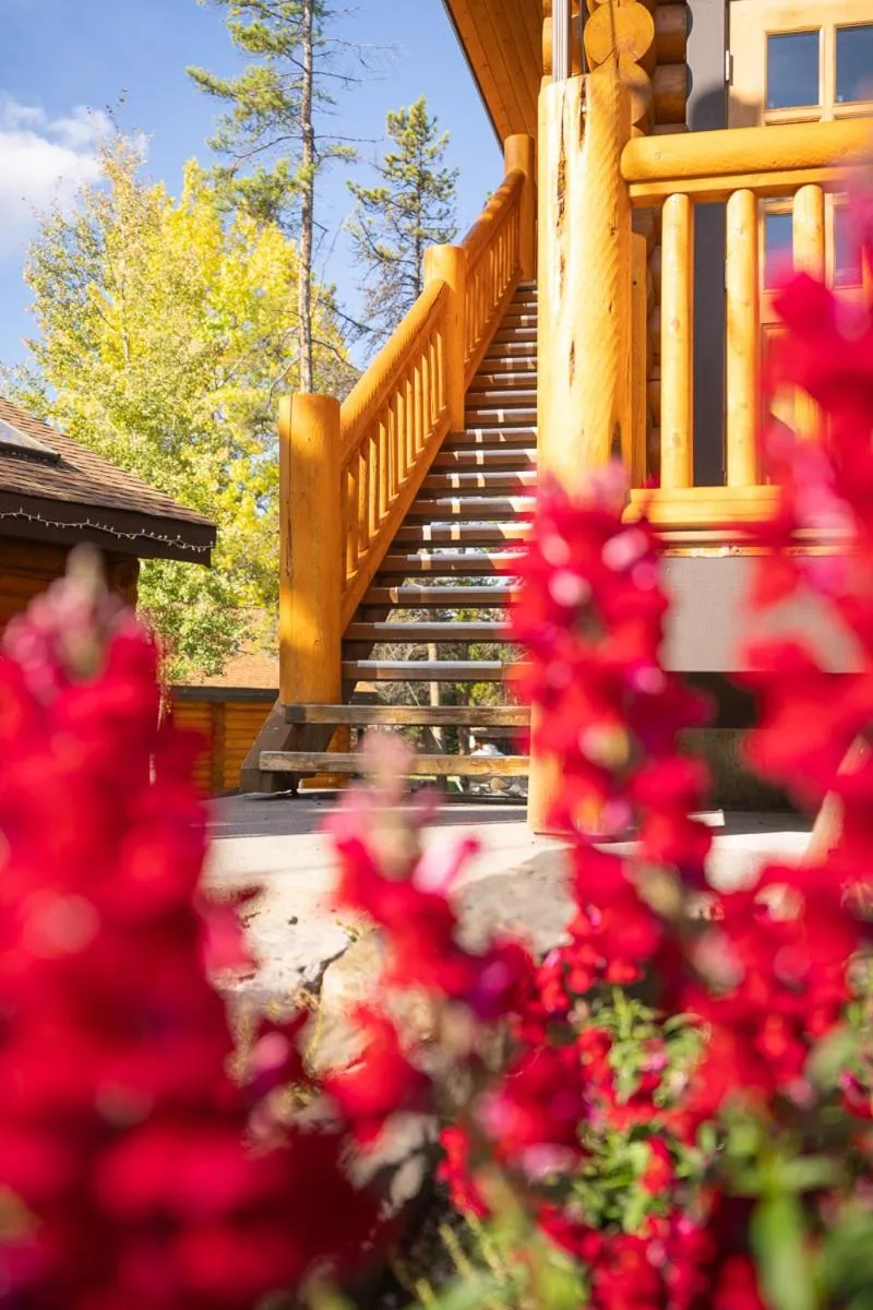 Garden in Castle Mountain Chalets