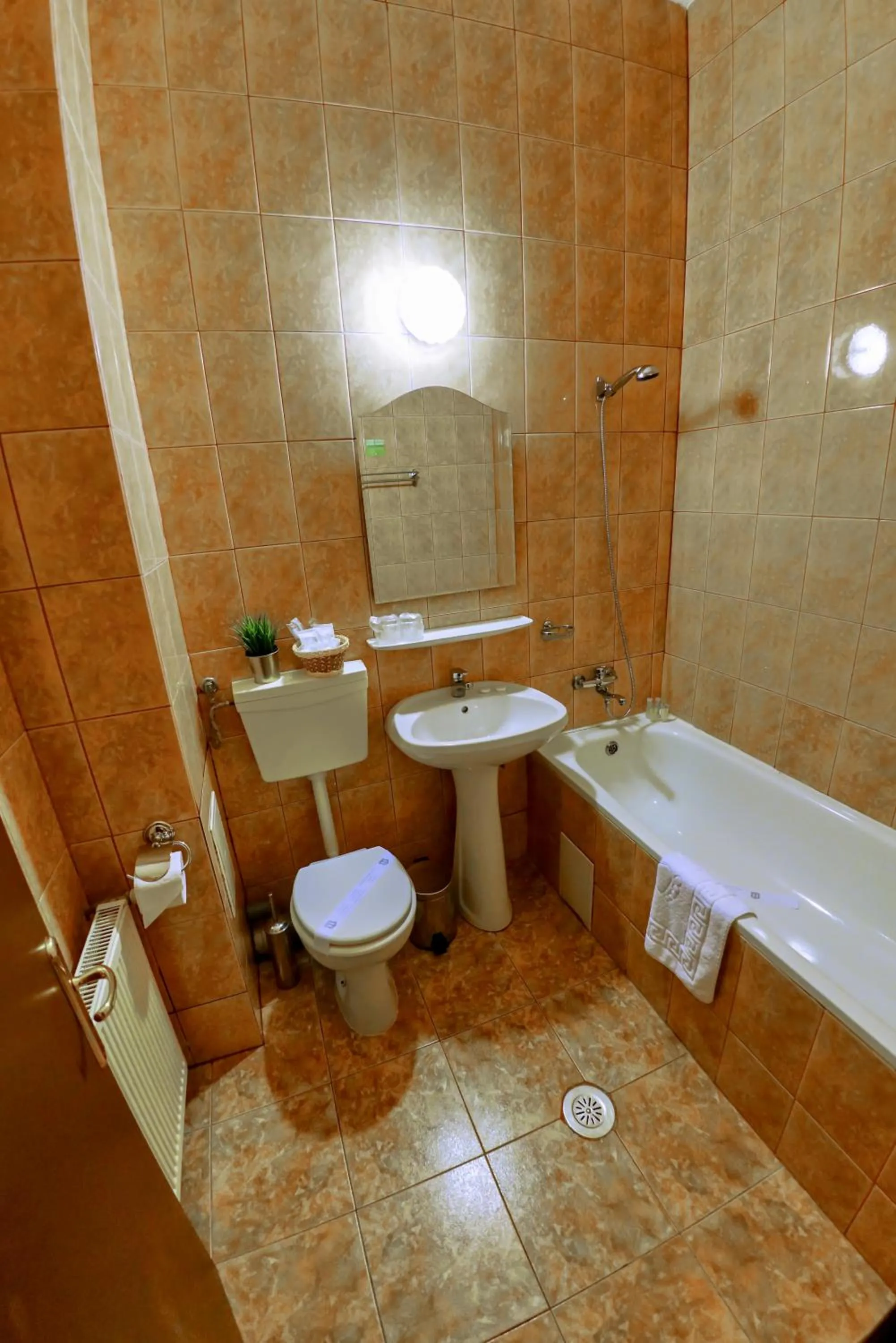 Bucharest Downtown Inn