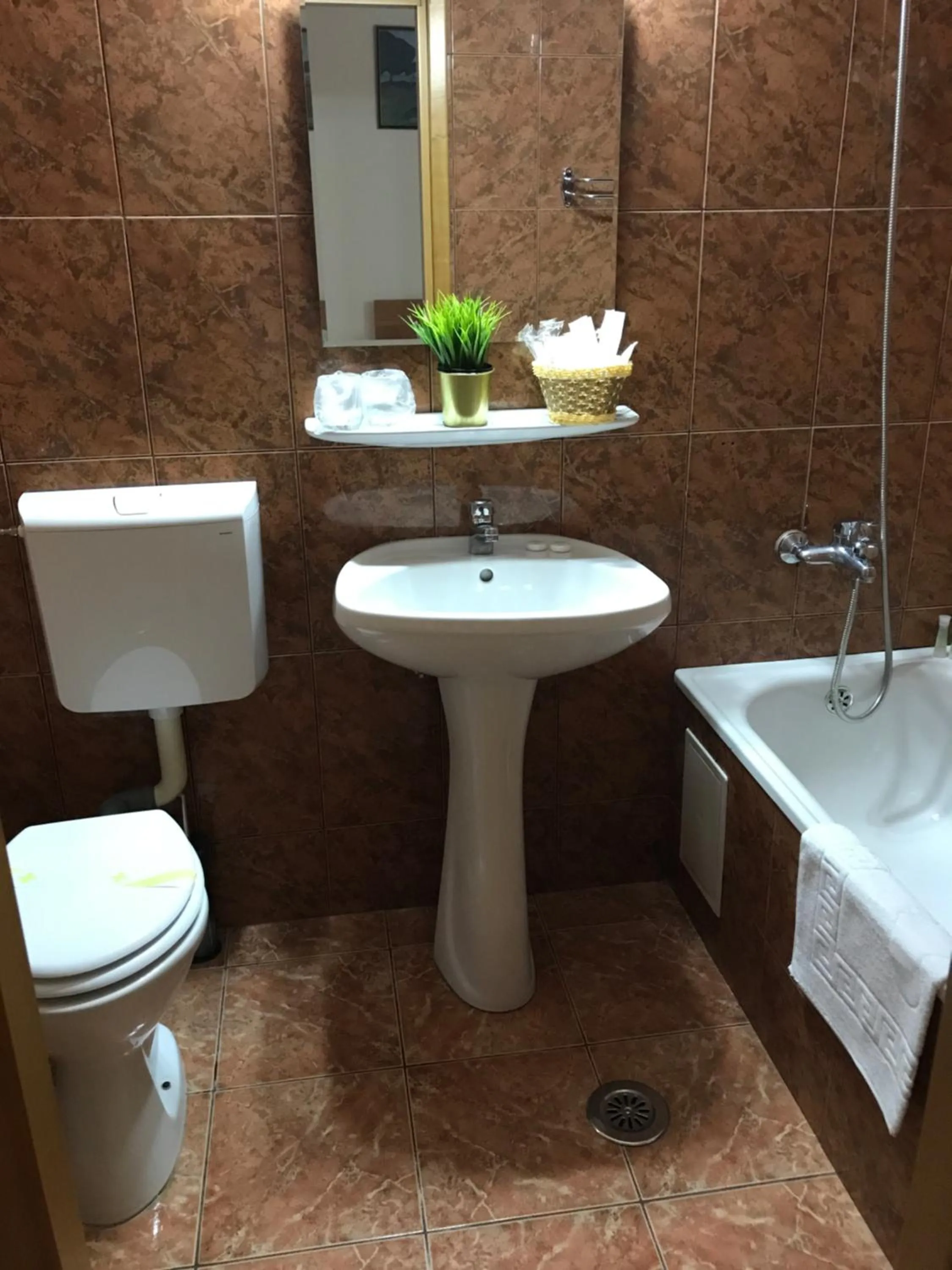 Bucharest Downtown Inn