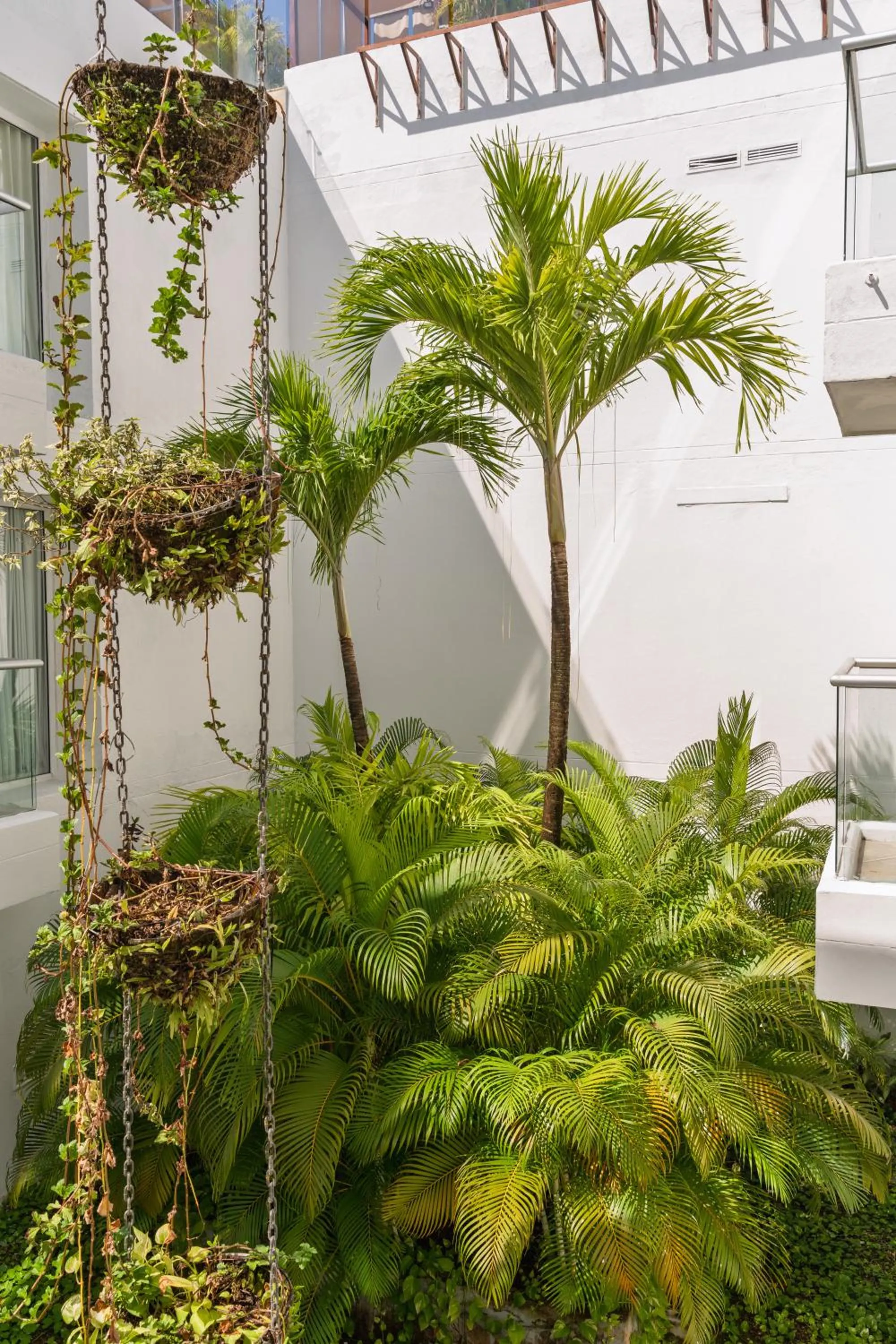 Garden in Nacar Hotel Cartagena, Curio Collection by Hilton