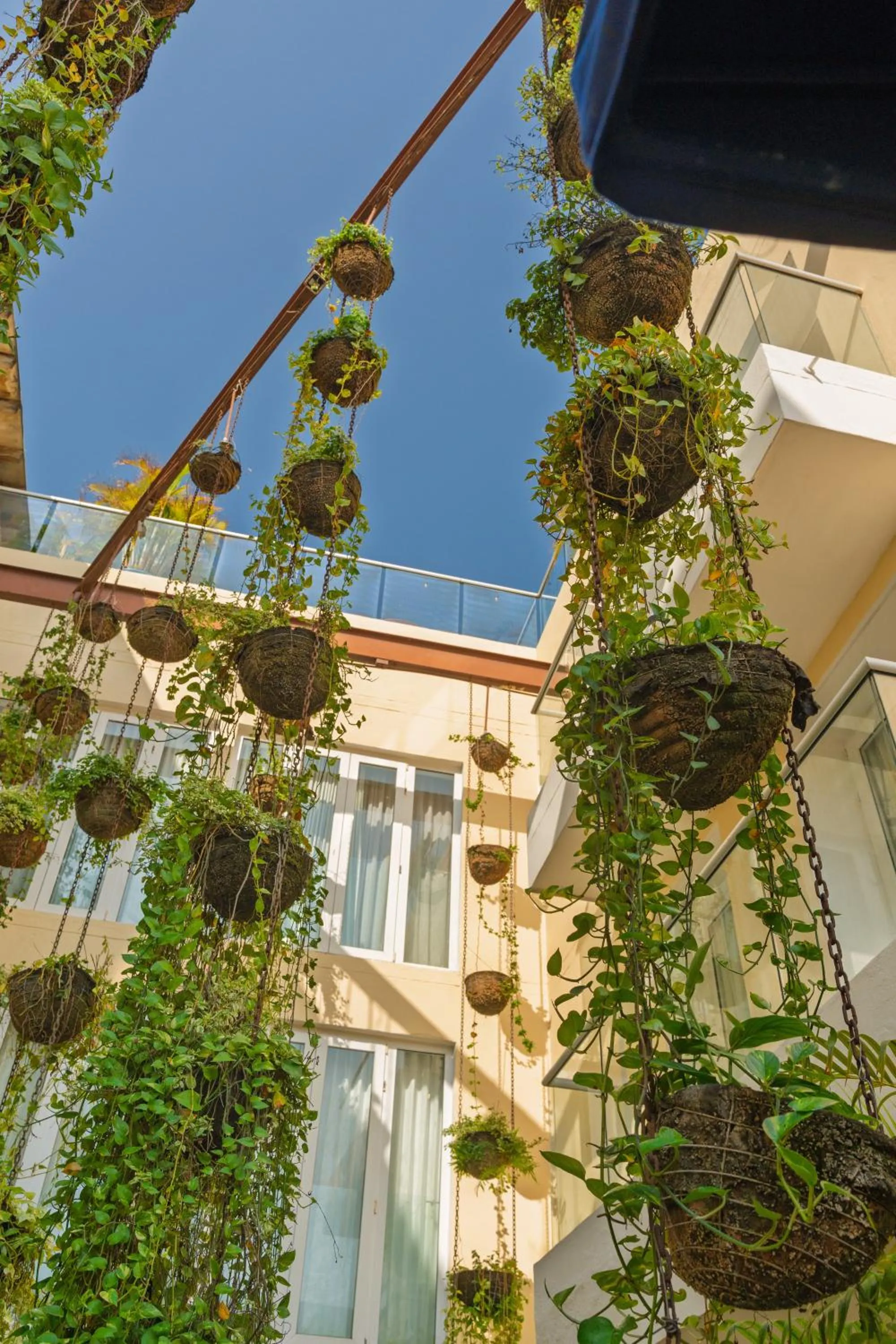 Garden view in Nacar Hotel Cartagena, Curio Collection by Hilton