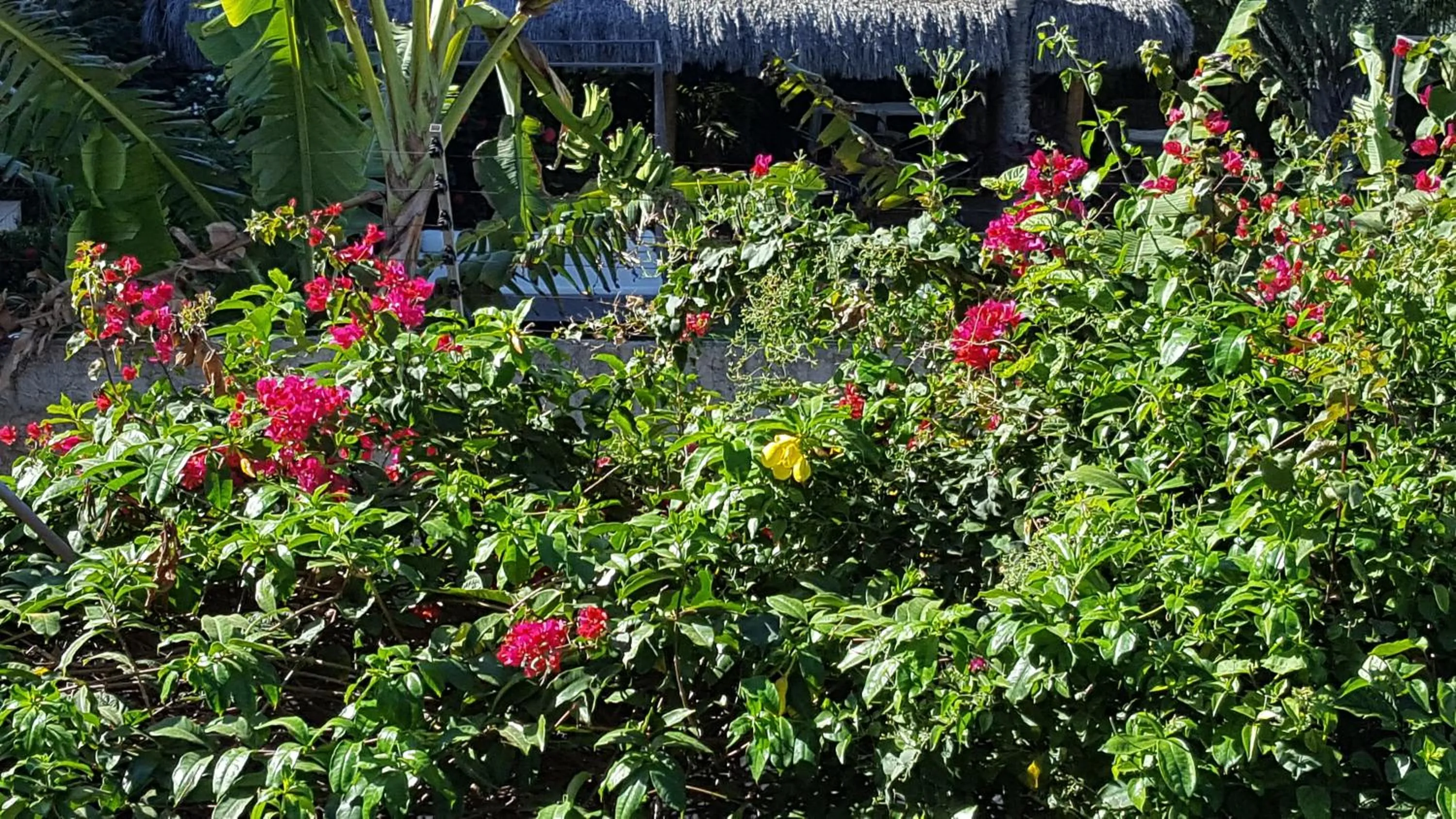 Pousada Agua Marinha