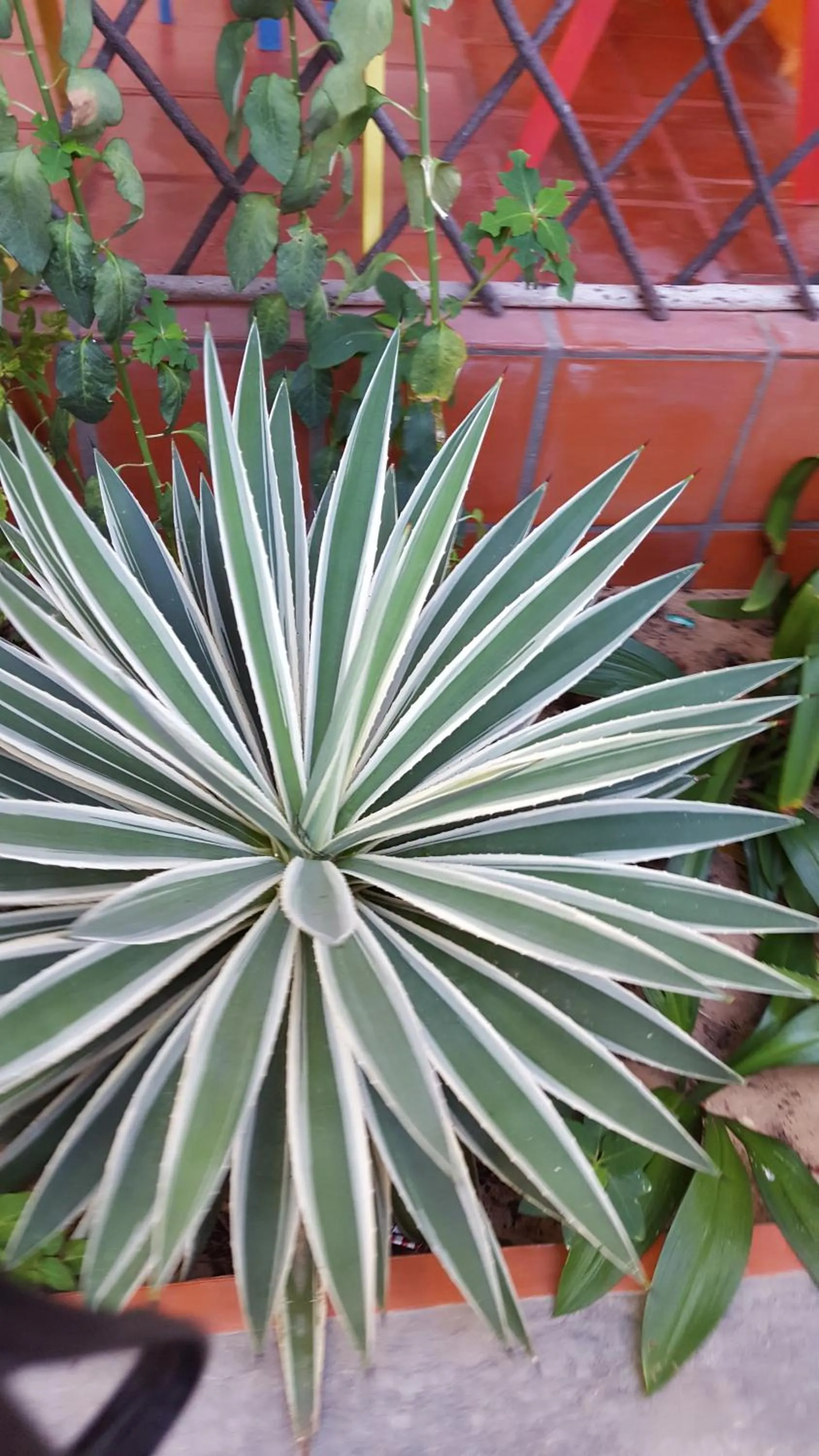 Pousada Agua Marinha