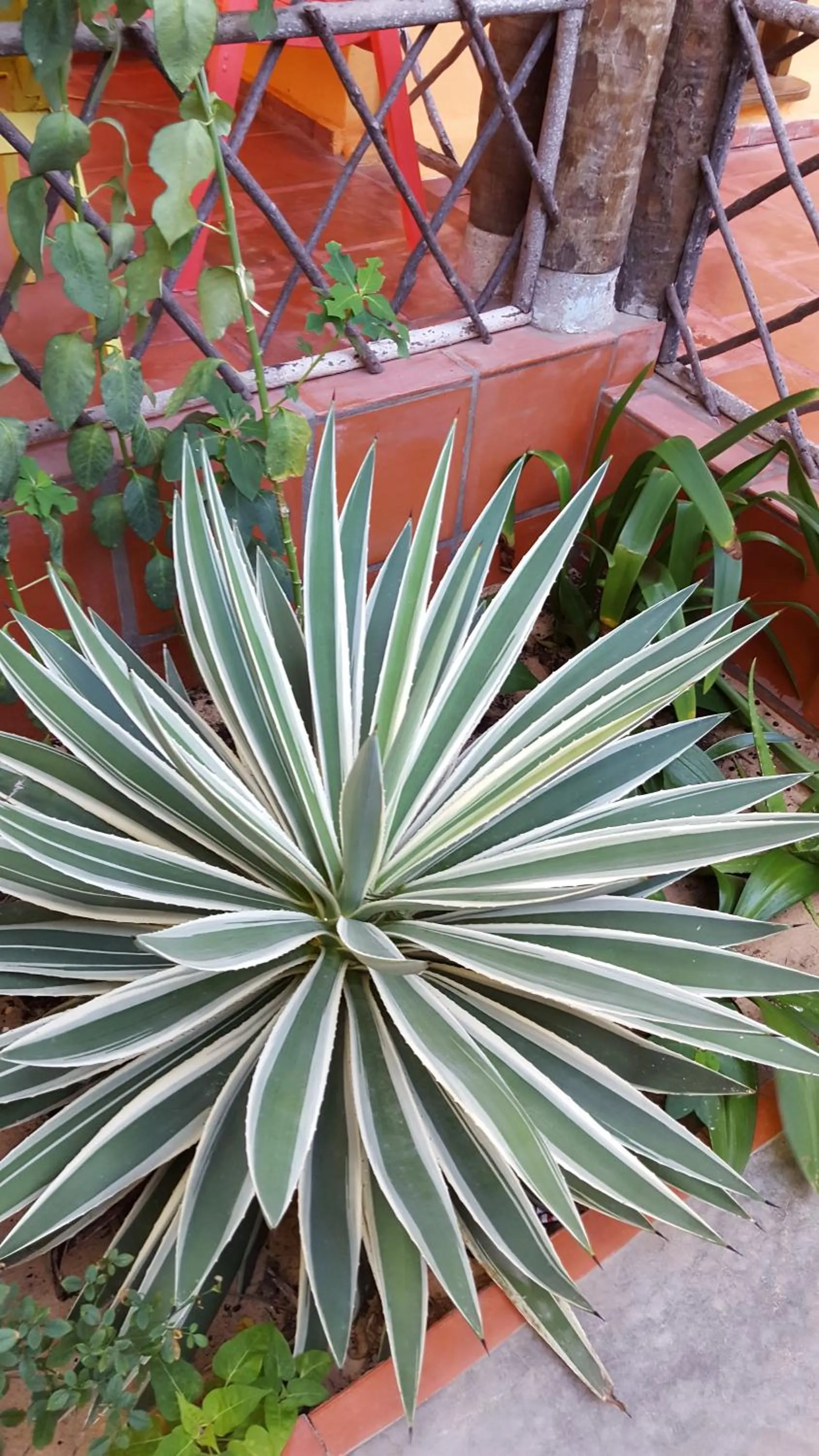 Pousada Agua Marinha