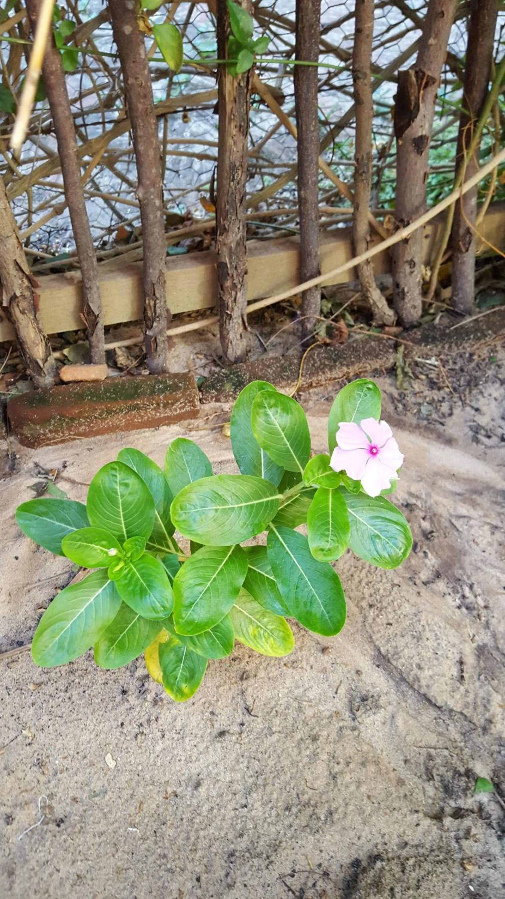 Pousada Agua Marinha