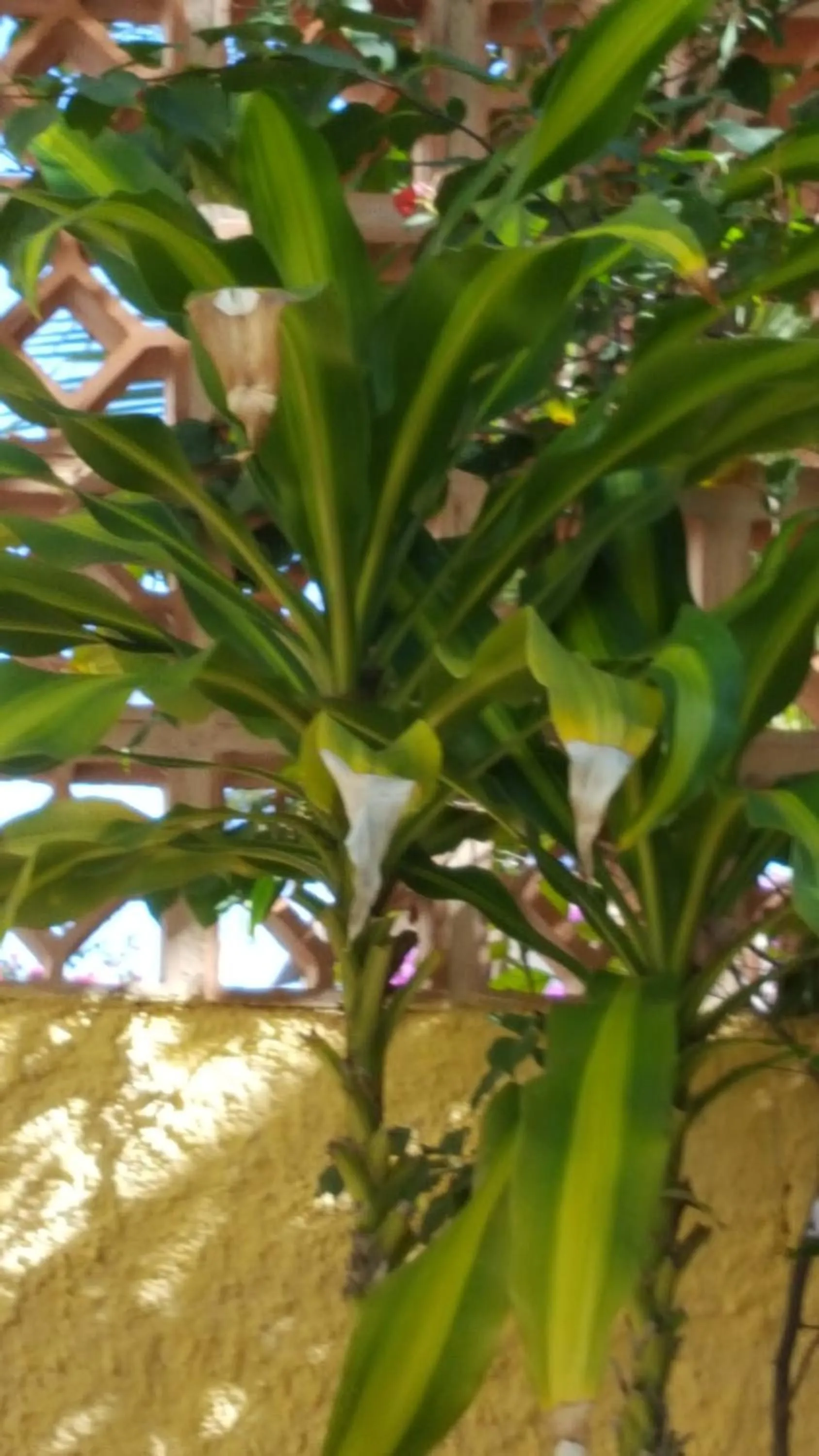 Pousada Agua Marinha