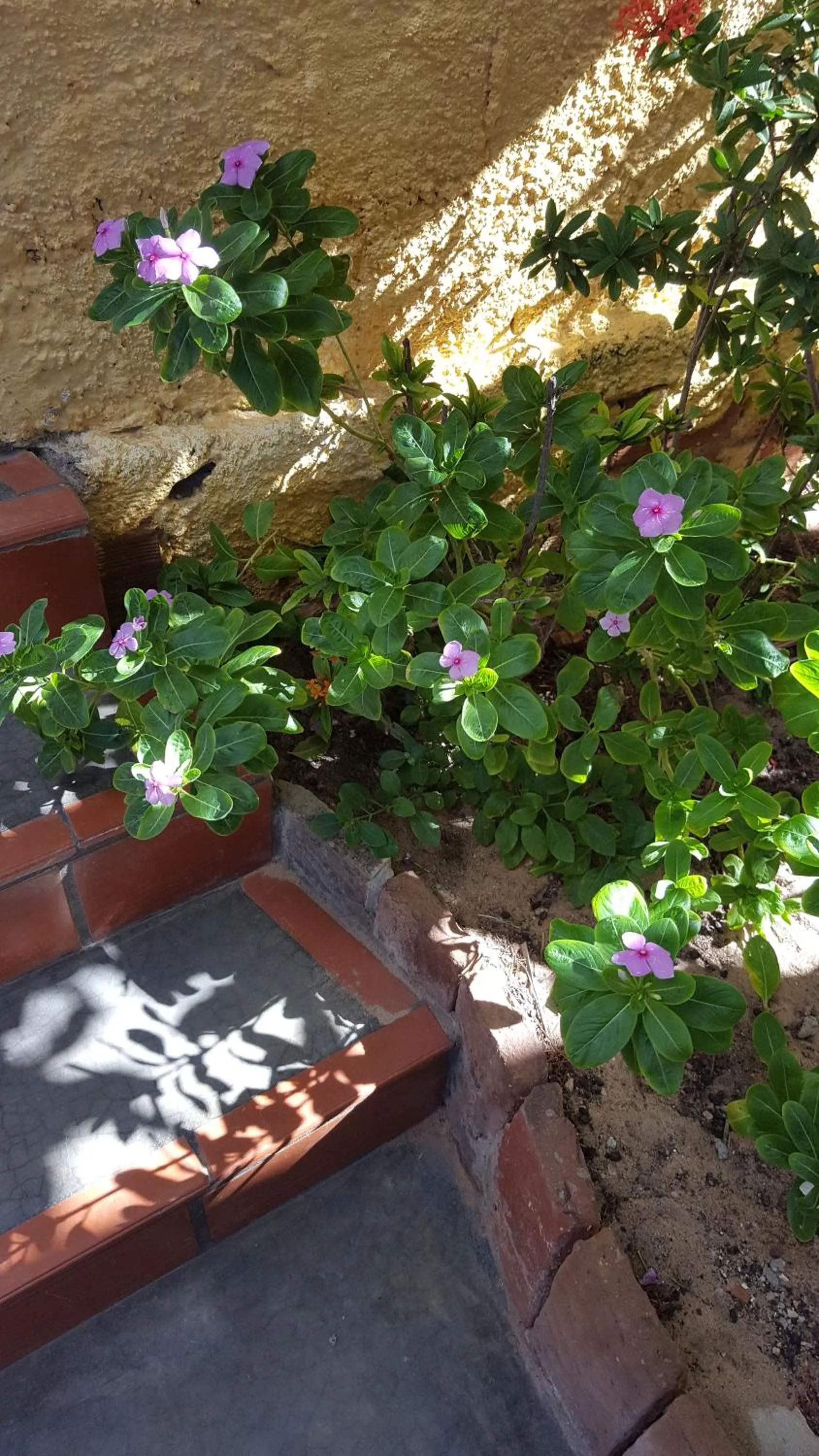 Pousada Agua Marinha