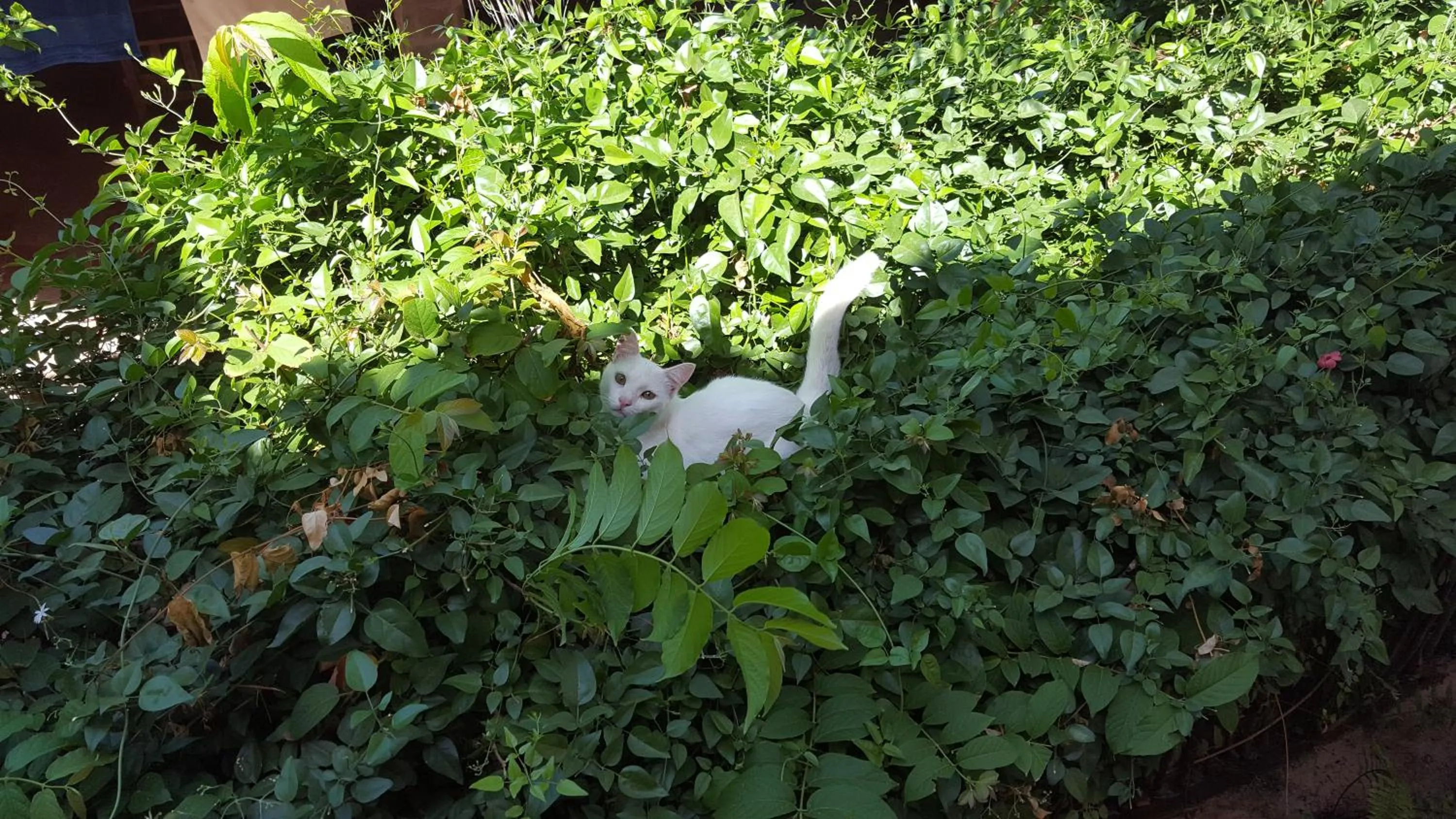 Pousada Agua Marinha
