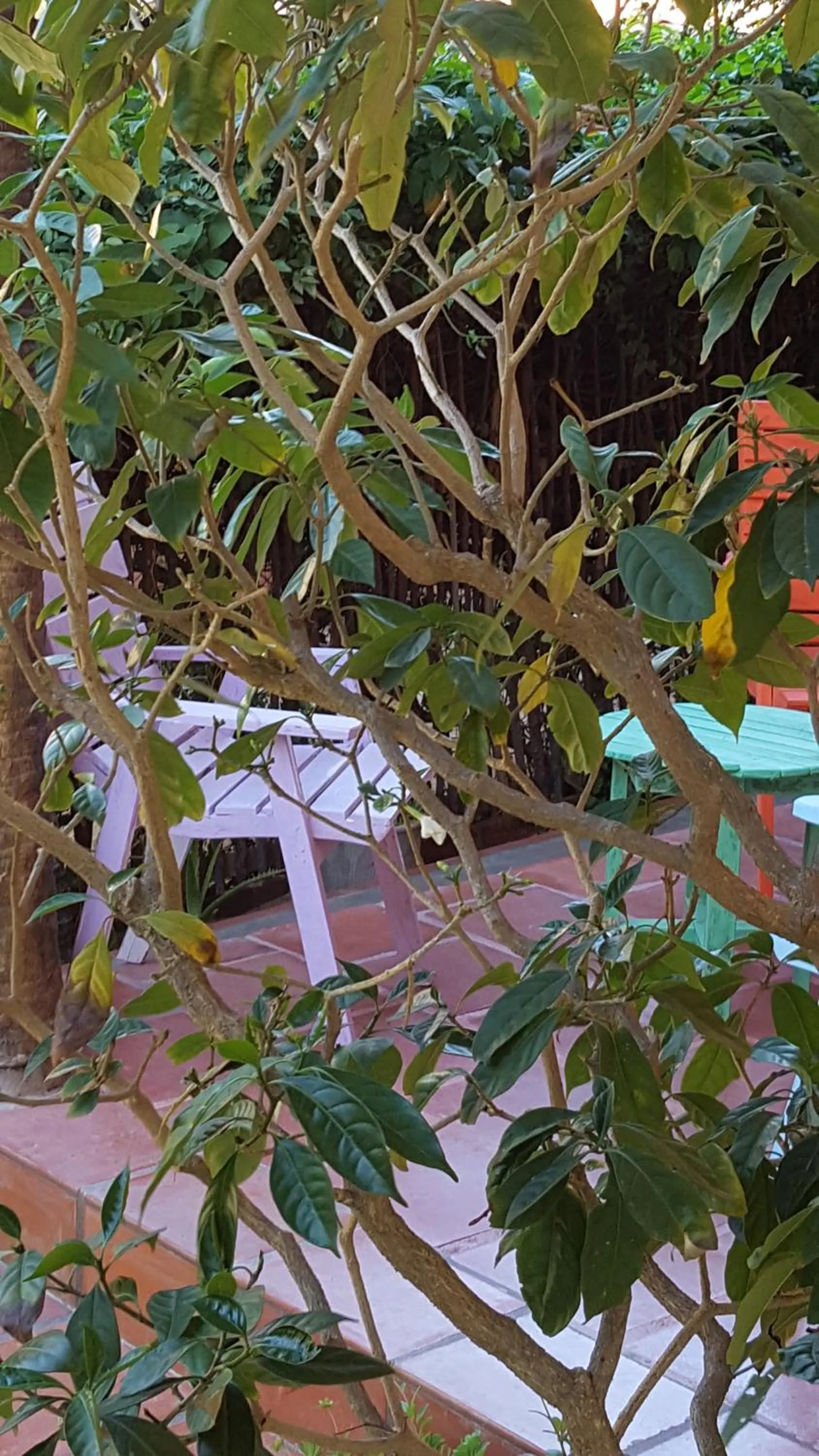 Pousada Agua Marinha