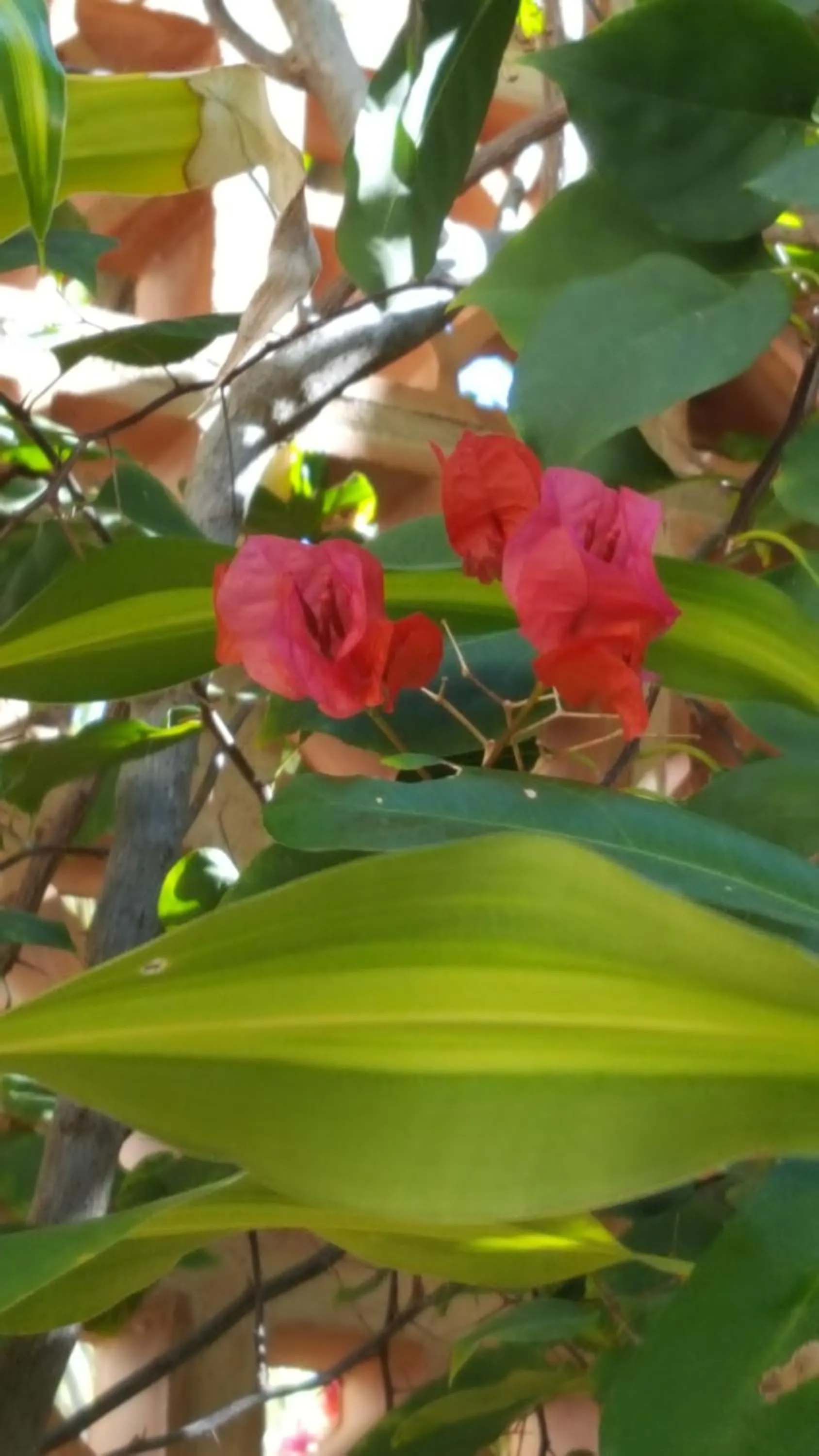 Pousada Agua Marinha