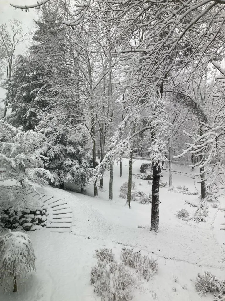 Garden in Camden Maine Stay Inn