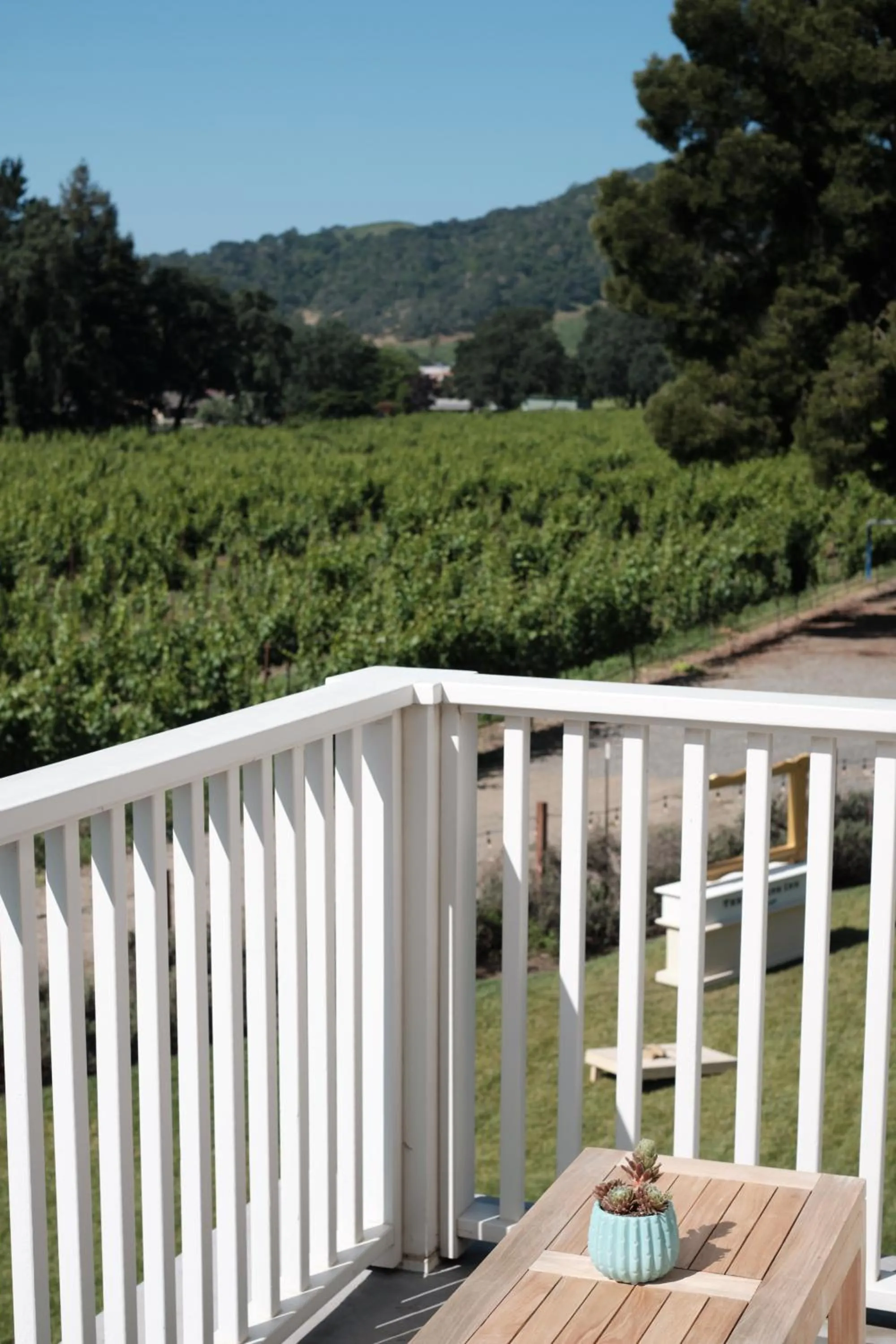 Natural landscape in The Setting Inn Napa Valley