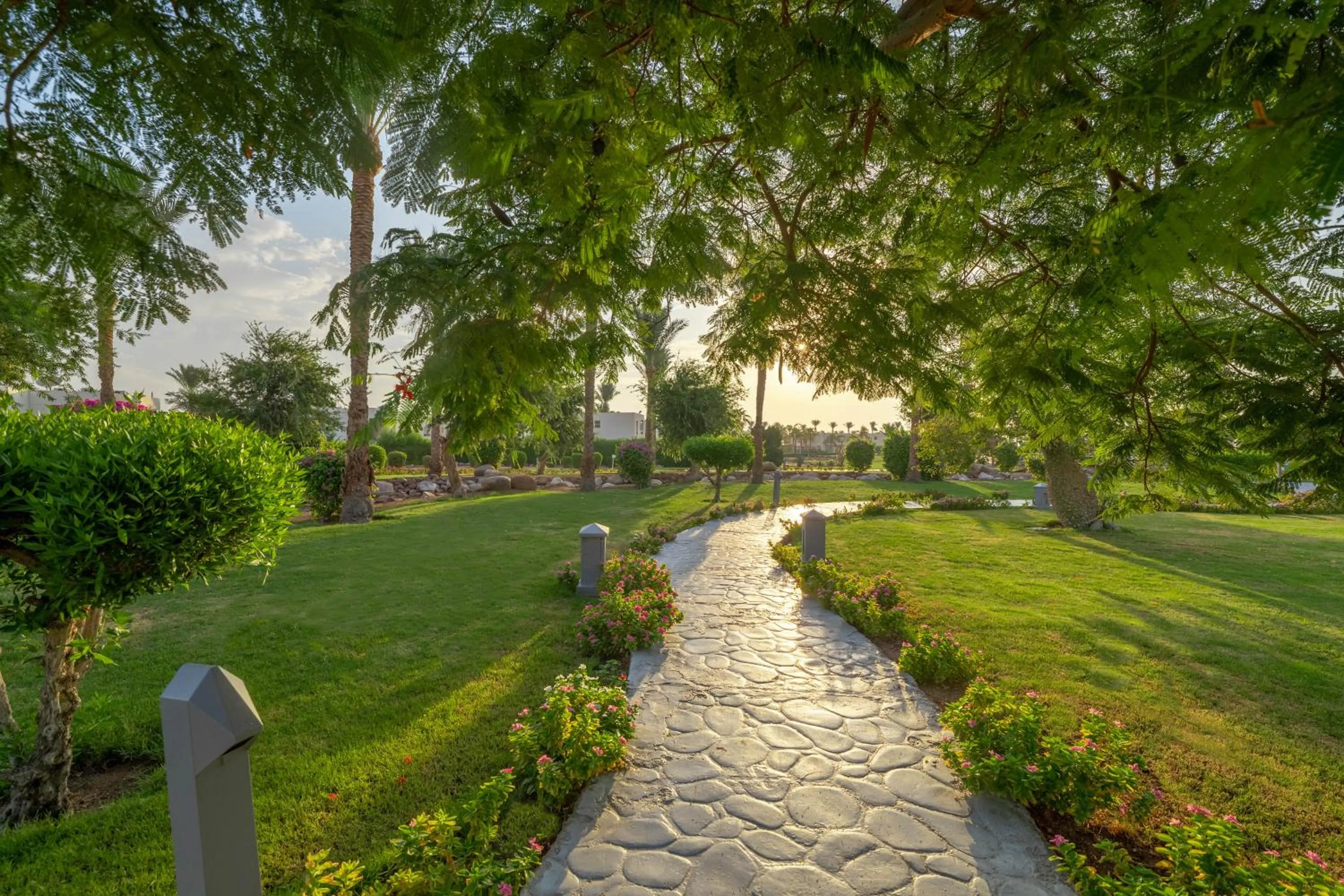 Spring in Aurora Oriental Resort Sharm El Sheikh