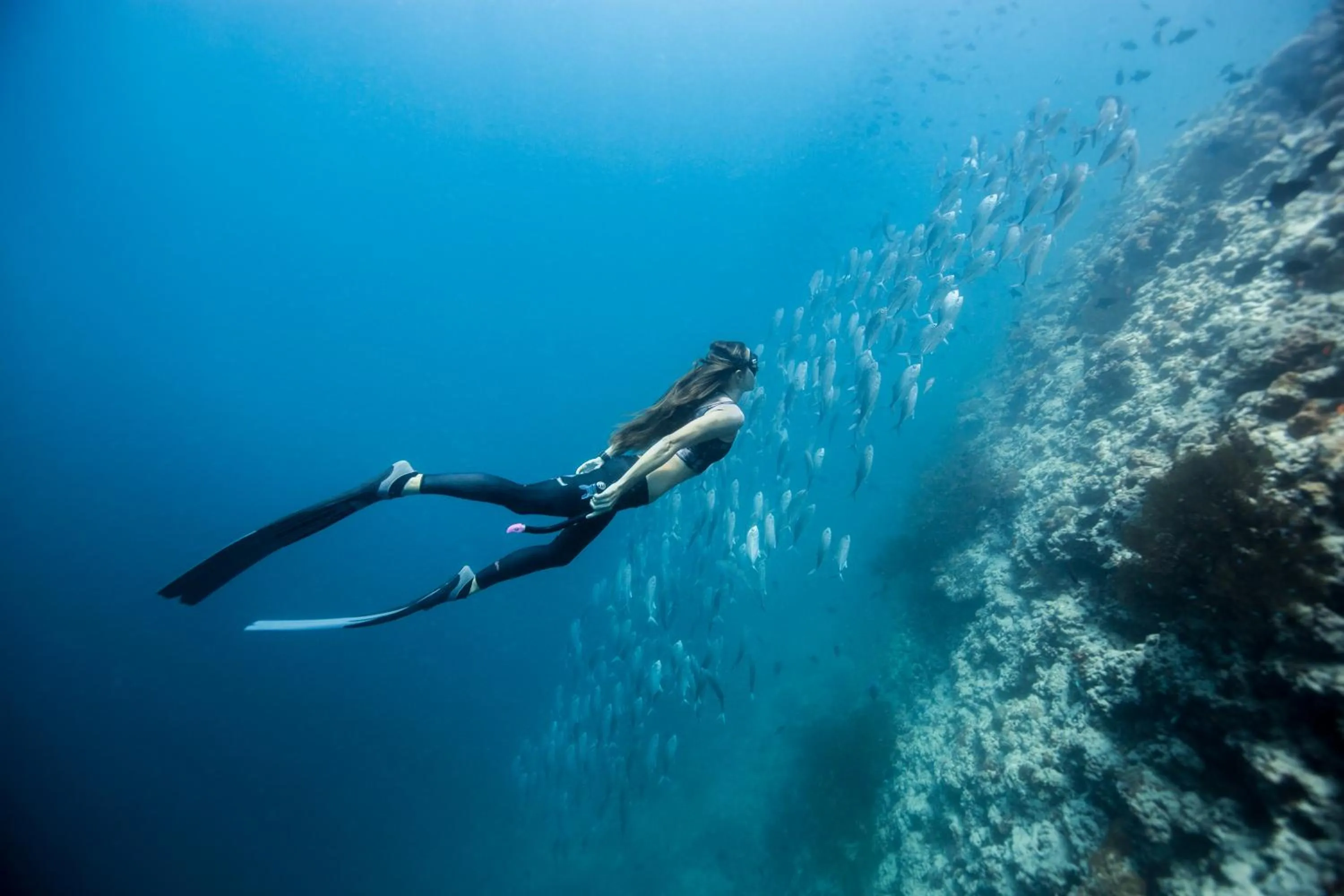 Diving in Dusit Thani Maldives - Mudhdhoo Island, Baa Atoll