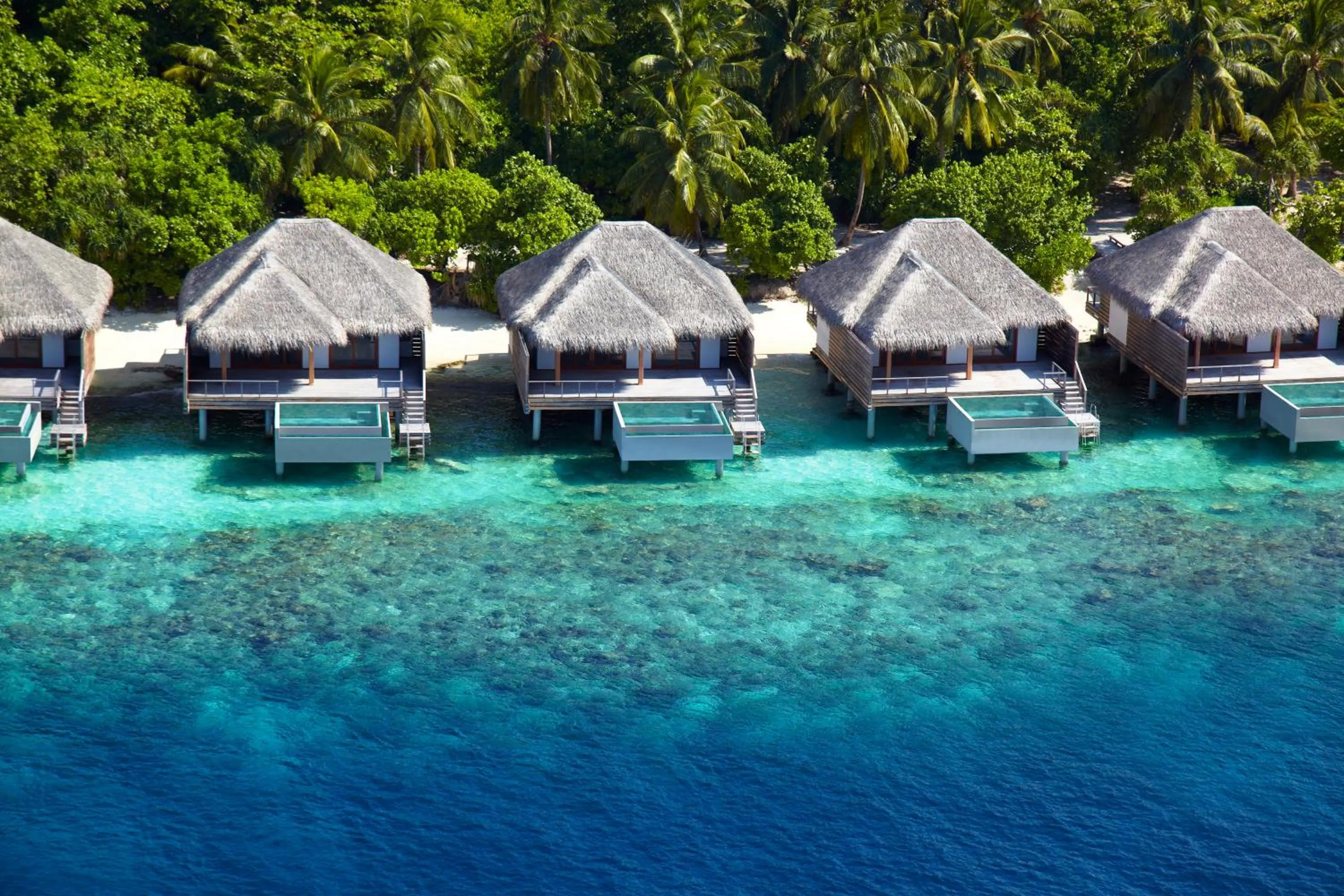 Bird's eye view in Dusit Thani Maldives - Mudhdhoo Island, Baa Atoll