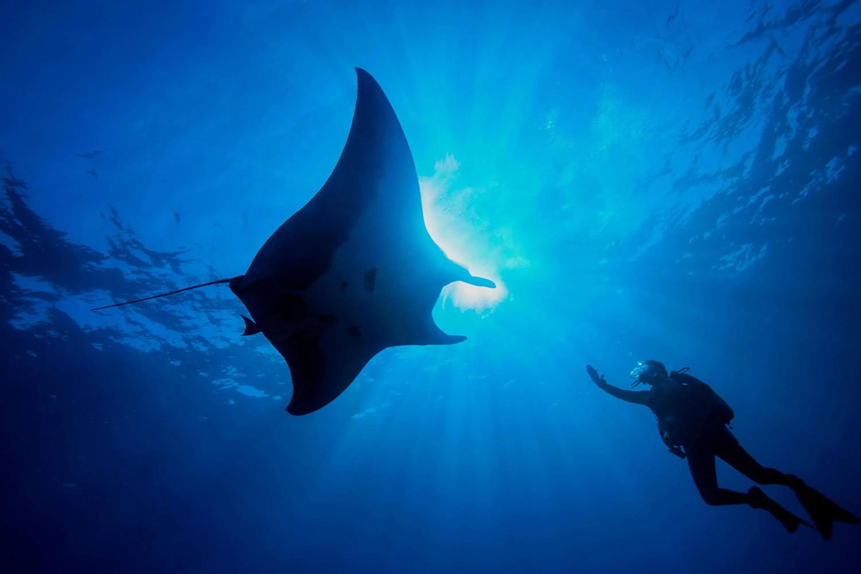 Fitness centre/facilities in Dusit Thani Maldives - Mudhdhoo Island, Baa Atoll