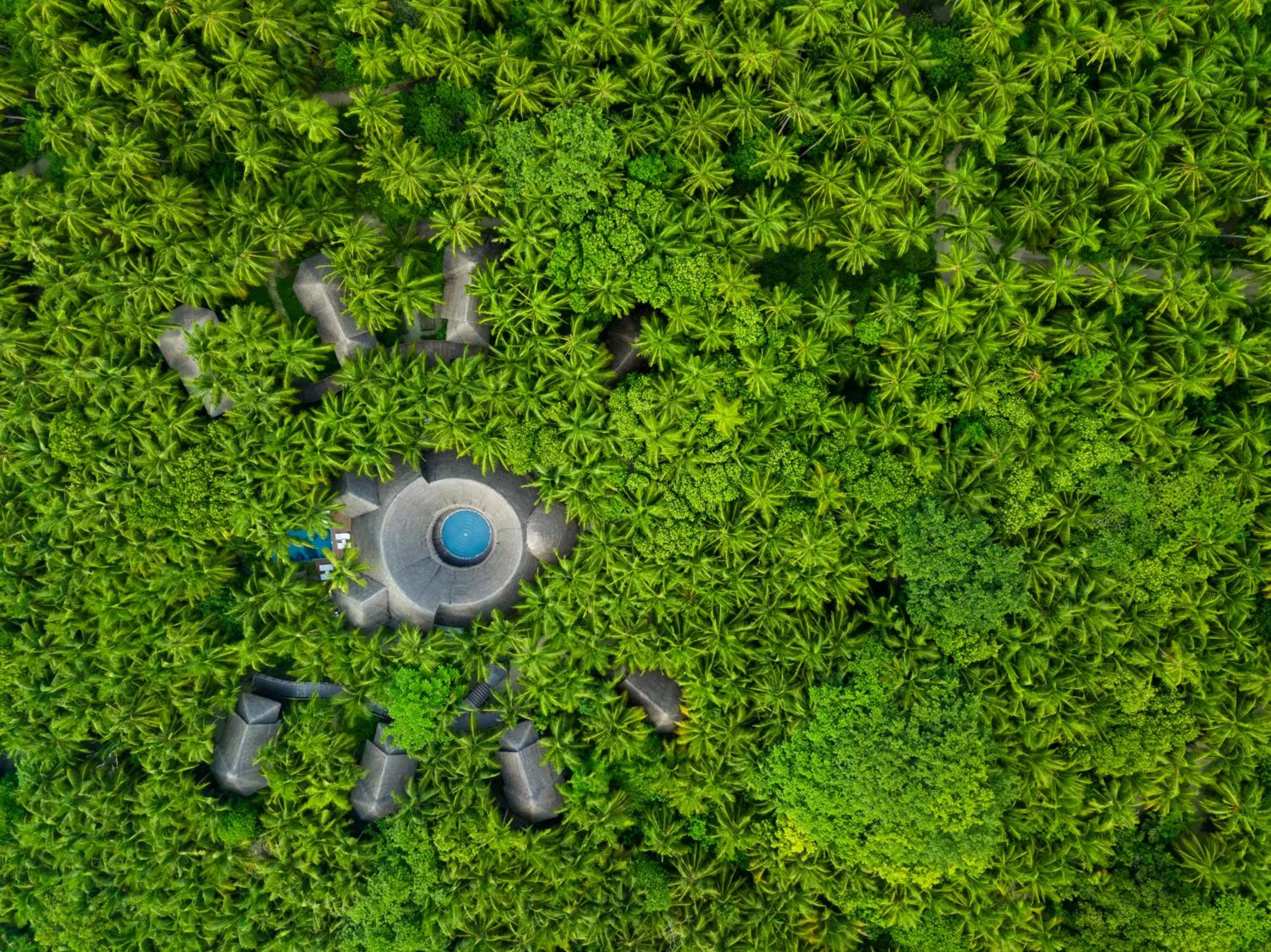 Other in Dusit Thani Maldives - Mudhdhoo Island, Baa Atoll