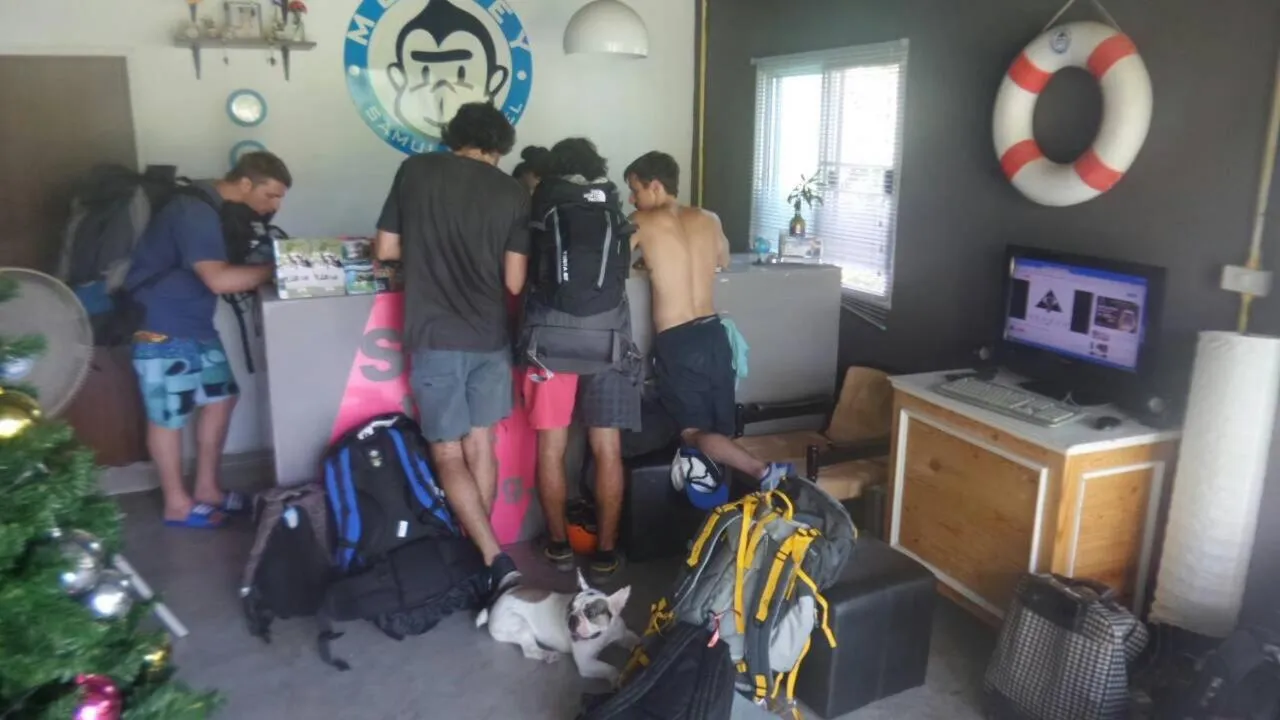 Monkey Samui Hostel