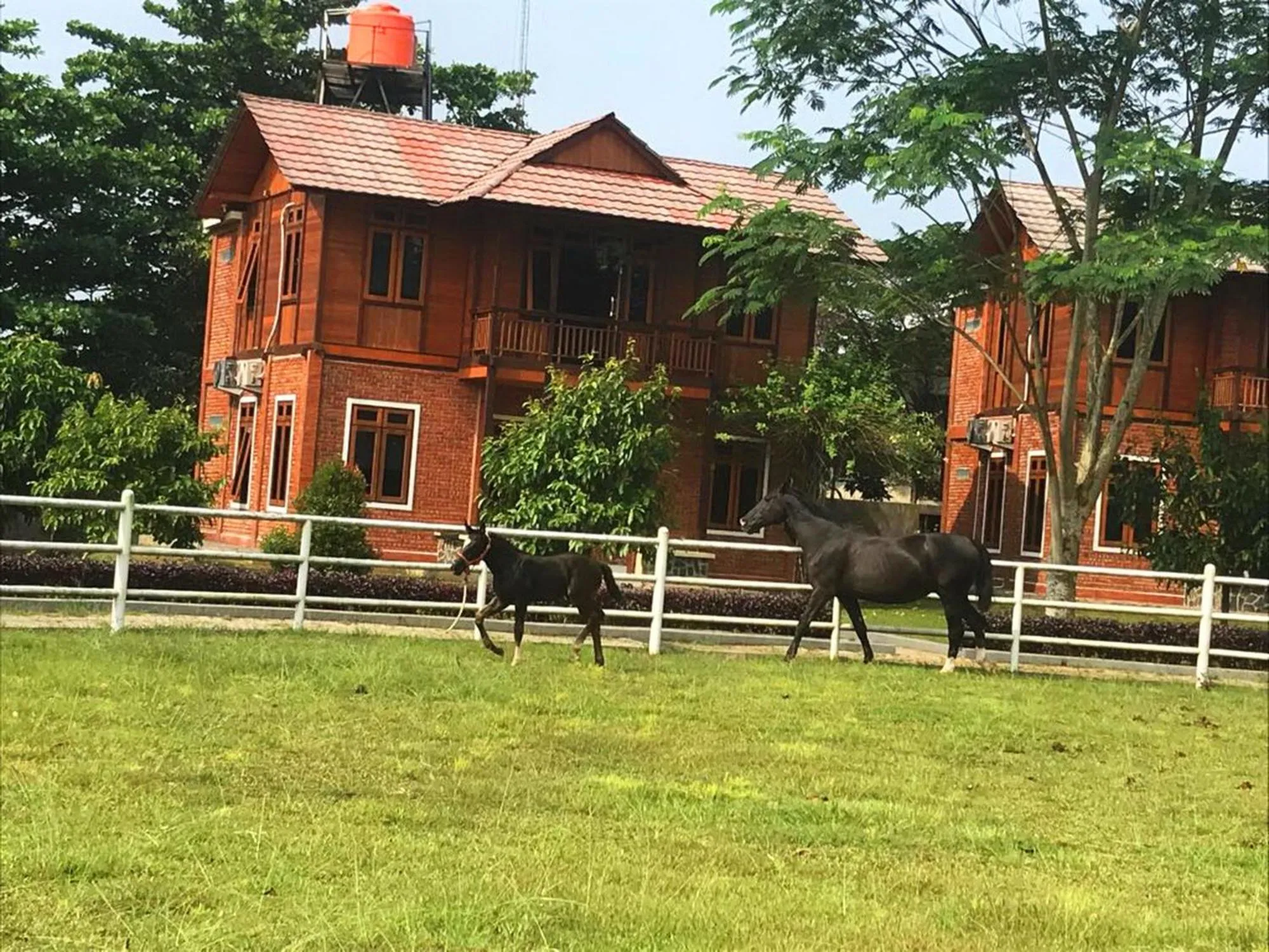 Property building in APM Equestrian Resort