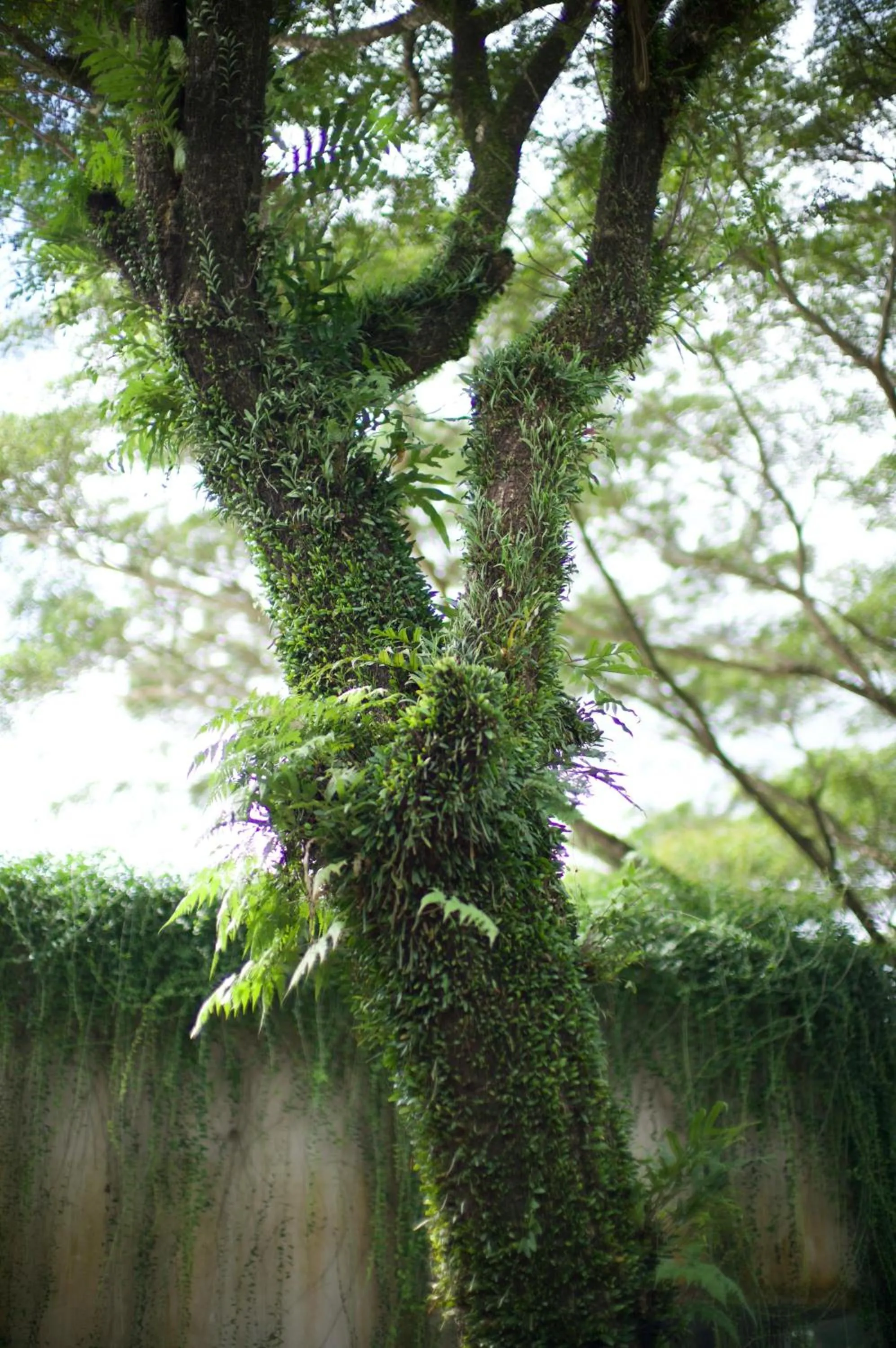 APM Equestrian Resort