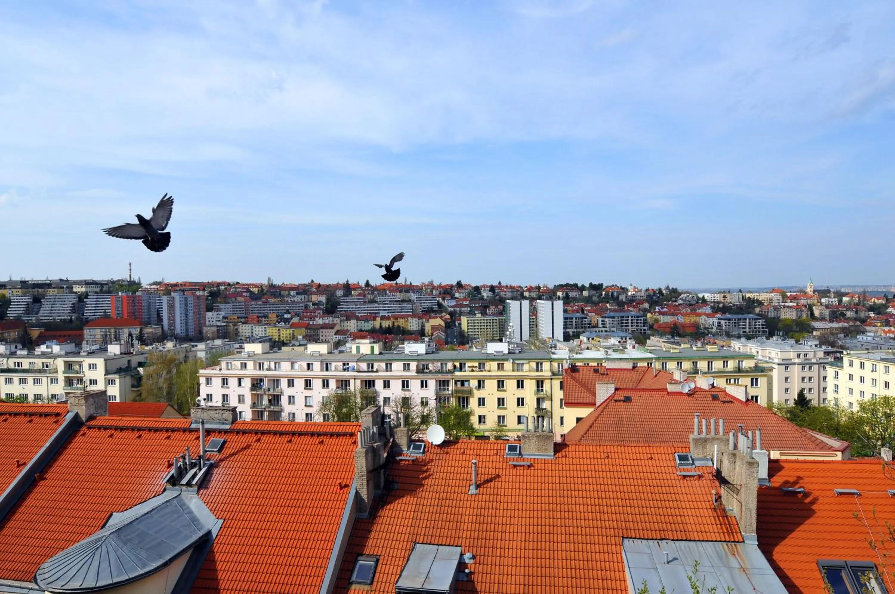 City view in Hotel Wilhelm