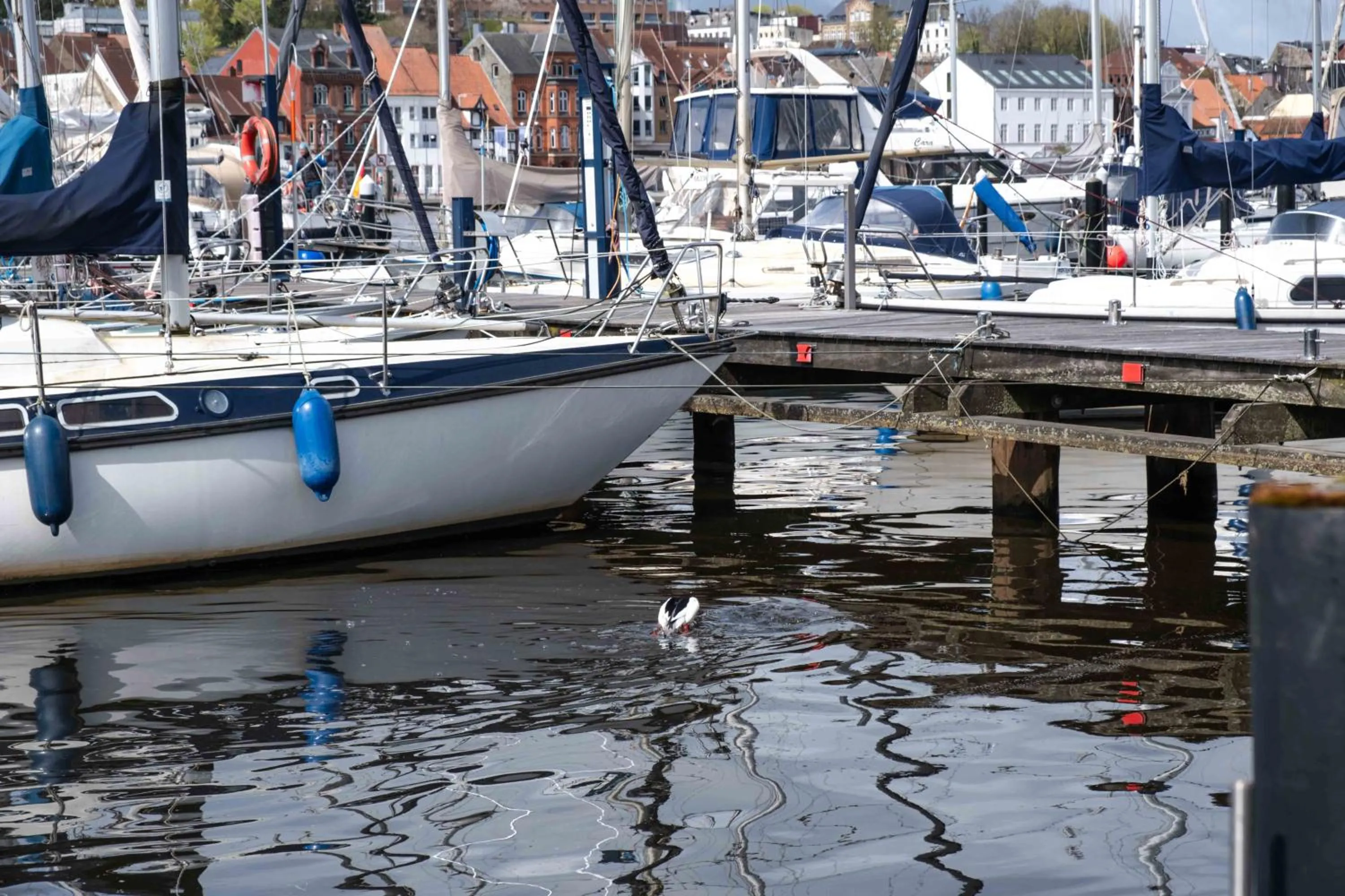 Area and facilities in Hotel des Nordens Flensburg Wellness & Spa