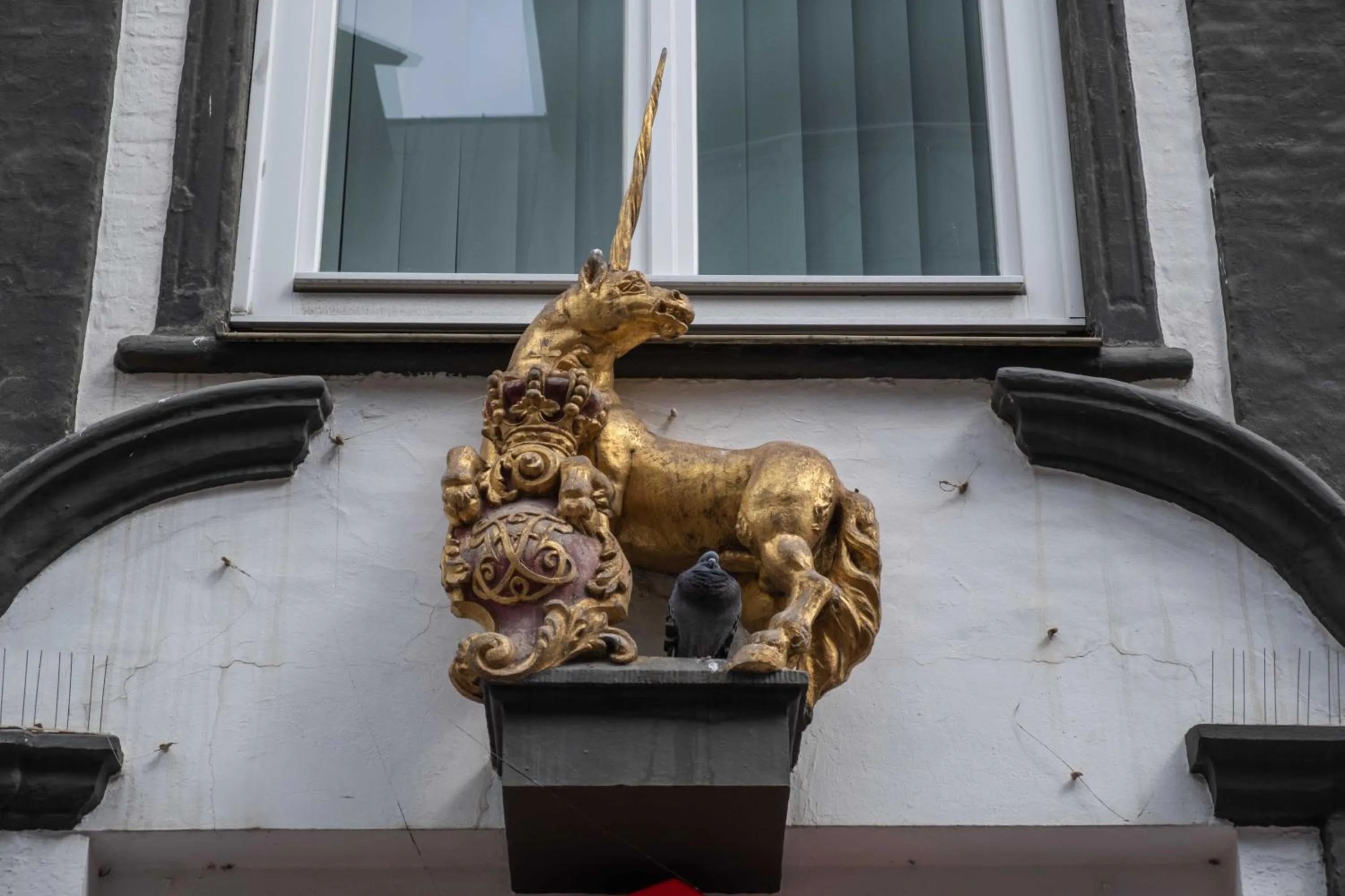 Area and facilities in Hotel des Nordens Flensburg Wellness & Spa