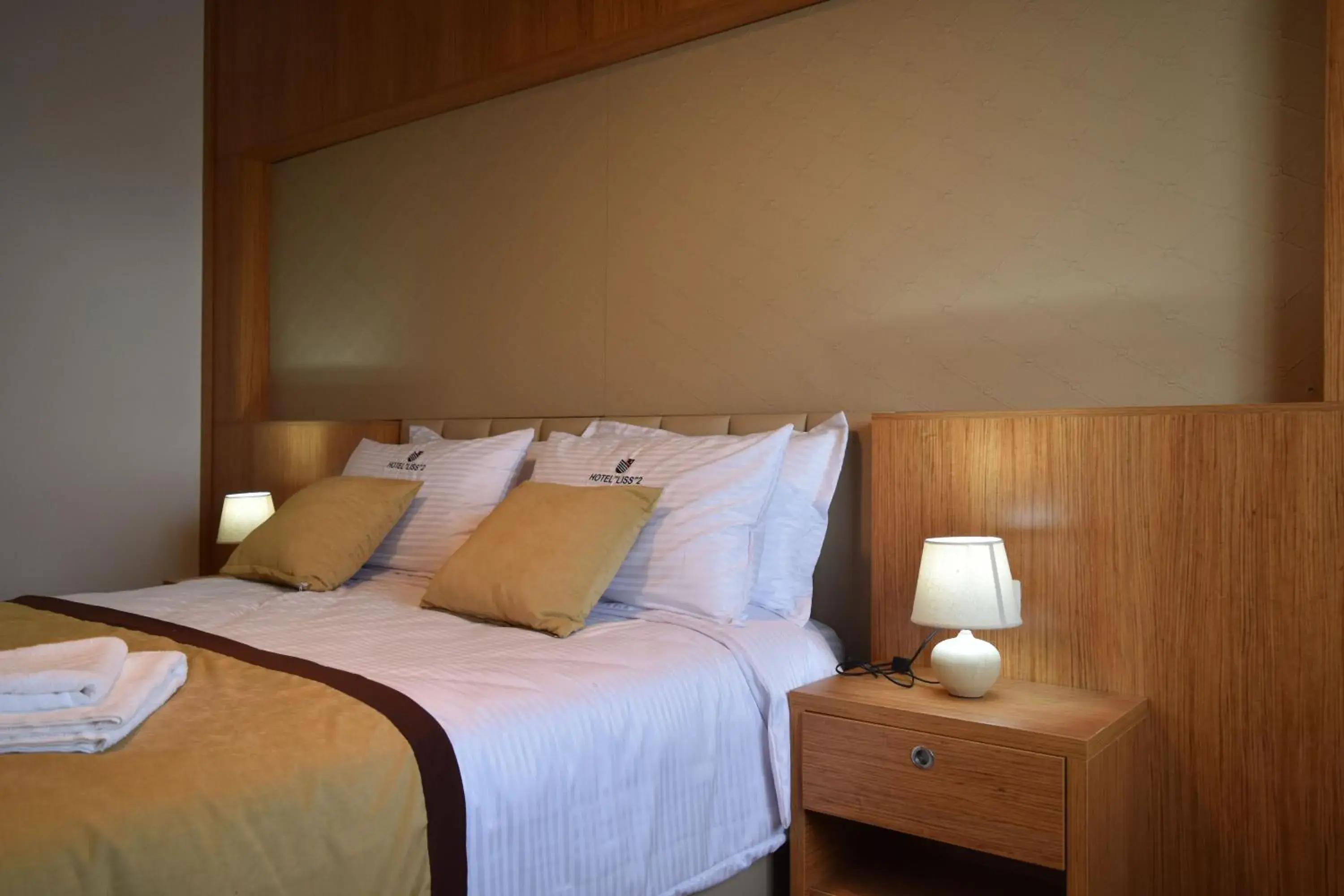 Standard Double Room - single occupancy in Hotel LISS 2 Standard Double Room - single occupancy in Hotel LISS 2
