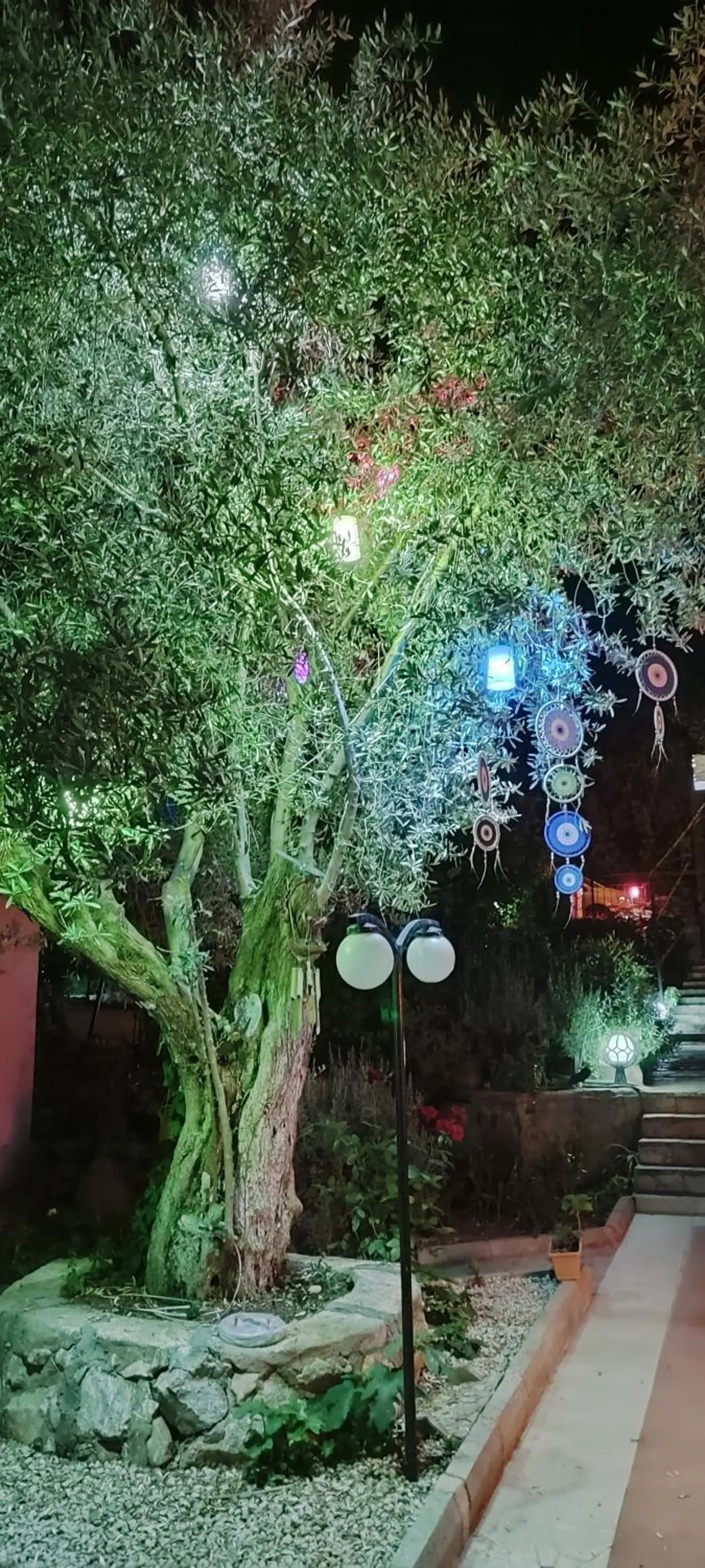 California Apart Otel