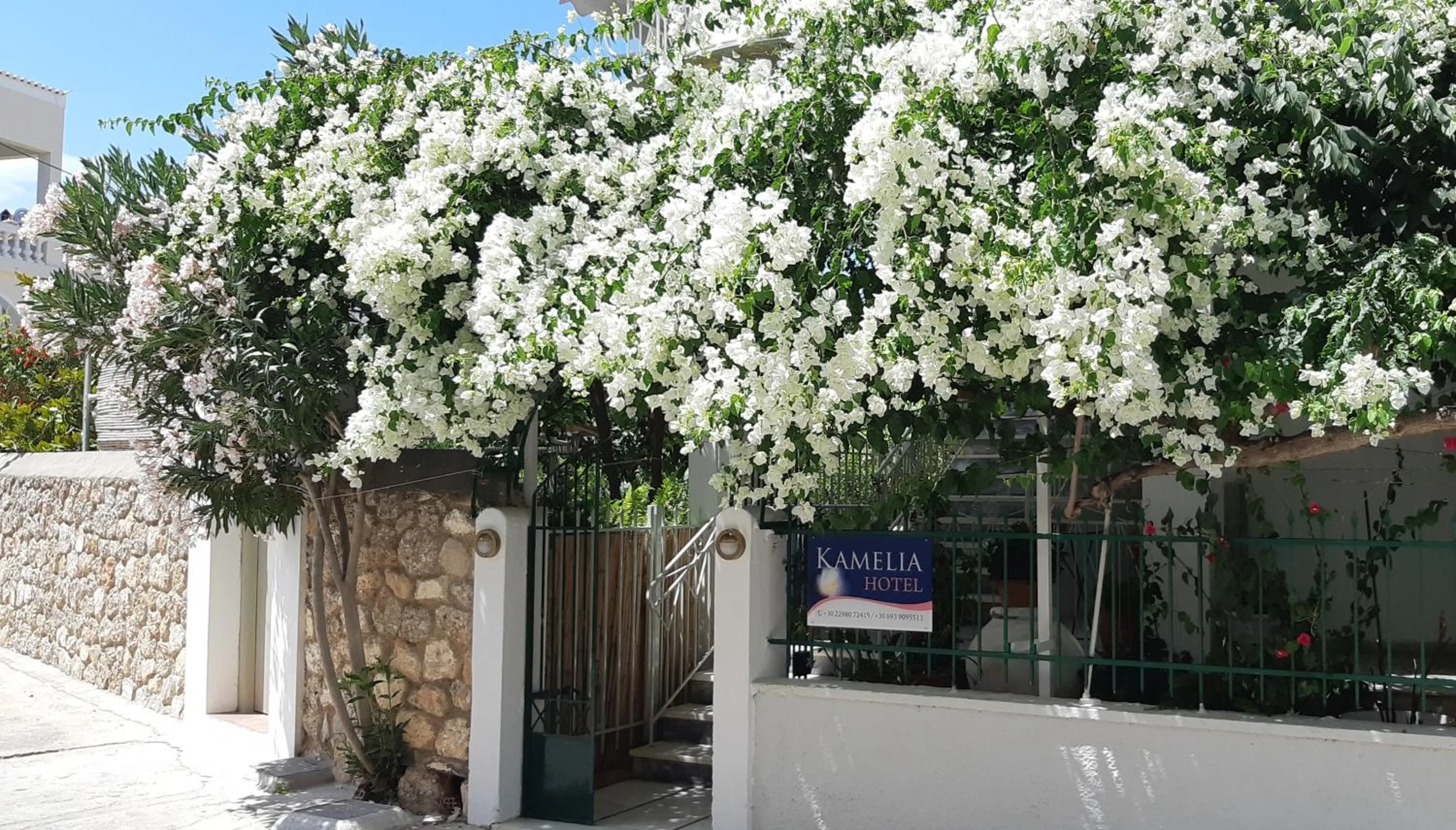 Facade/entrance in Kamelia Hotel